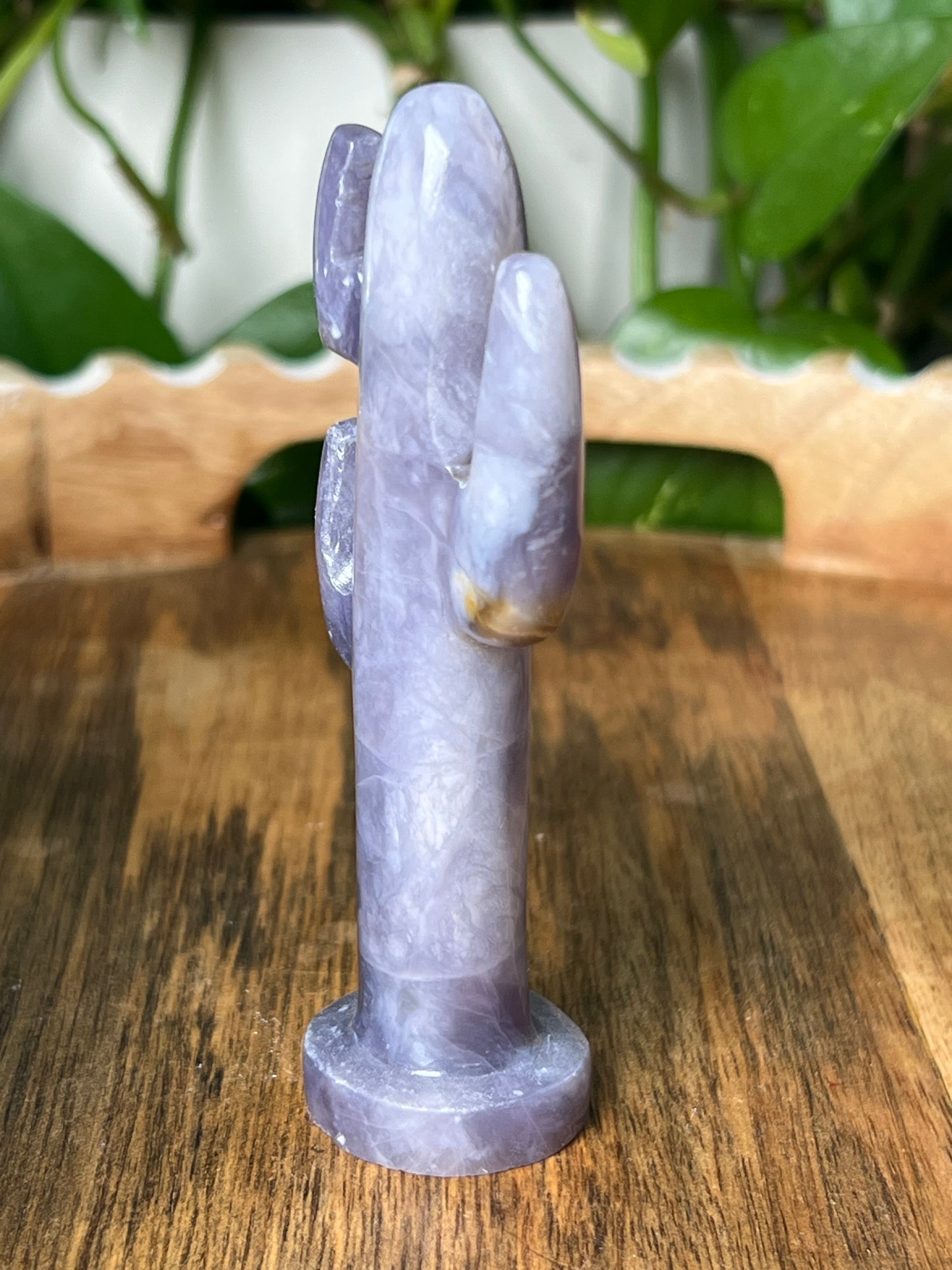 Purple Chalcedony Cactus