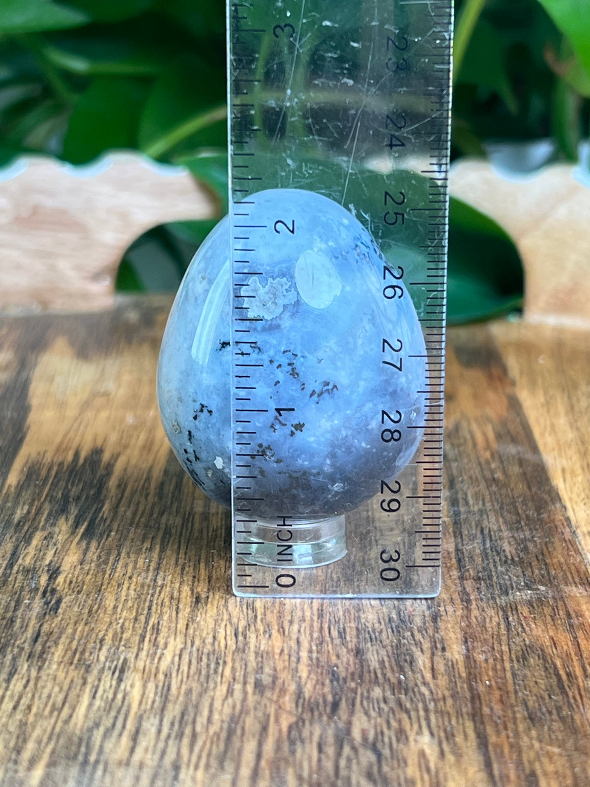 Blue Plume Agate Egg: BB