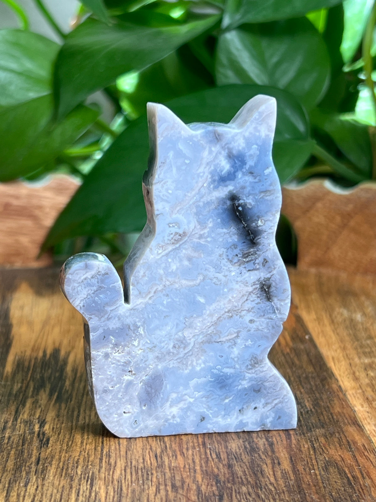 Blue Plume Agate Cat: BE