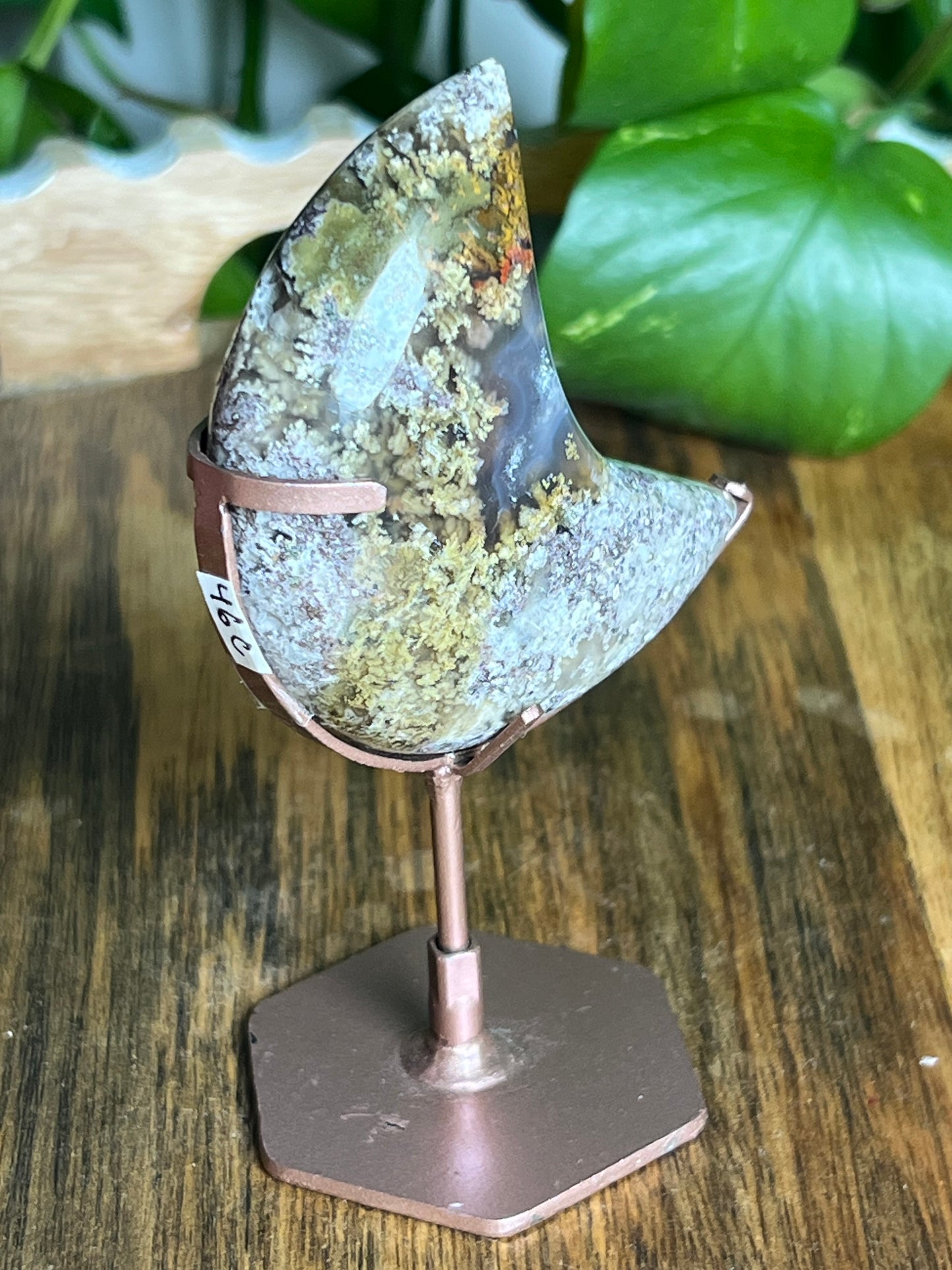 Scenic Moss Agate Moon