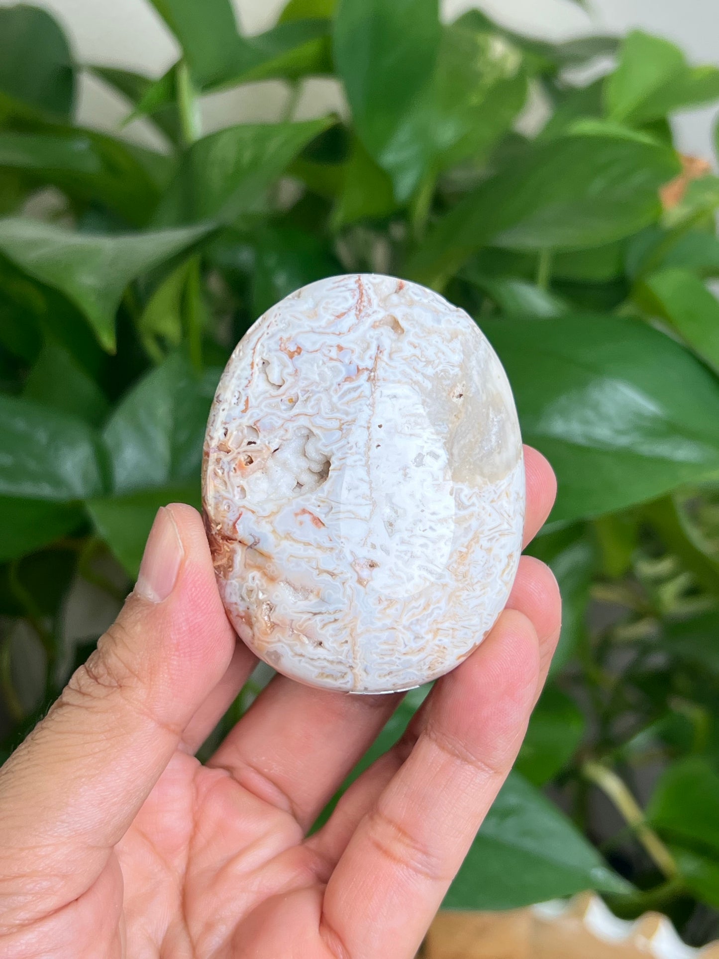 Tube Agate Palmstone: MB