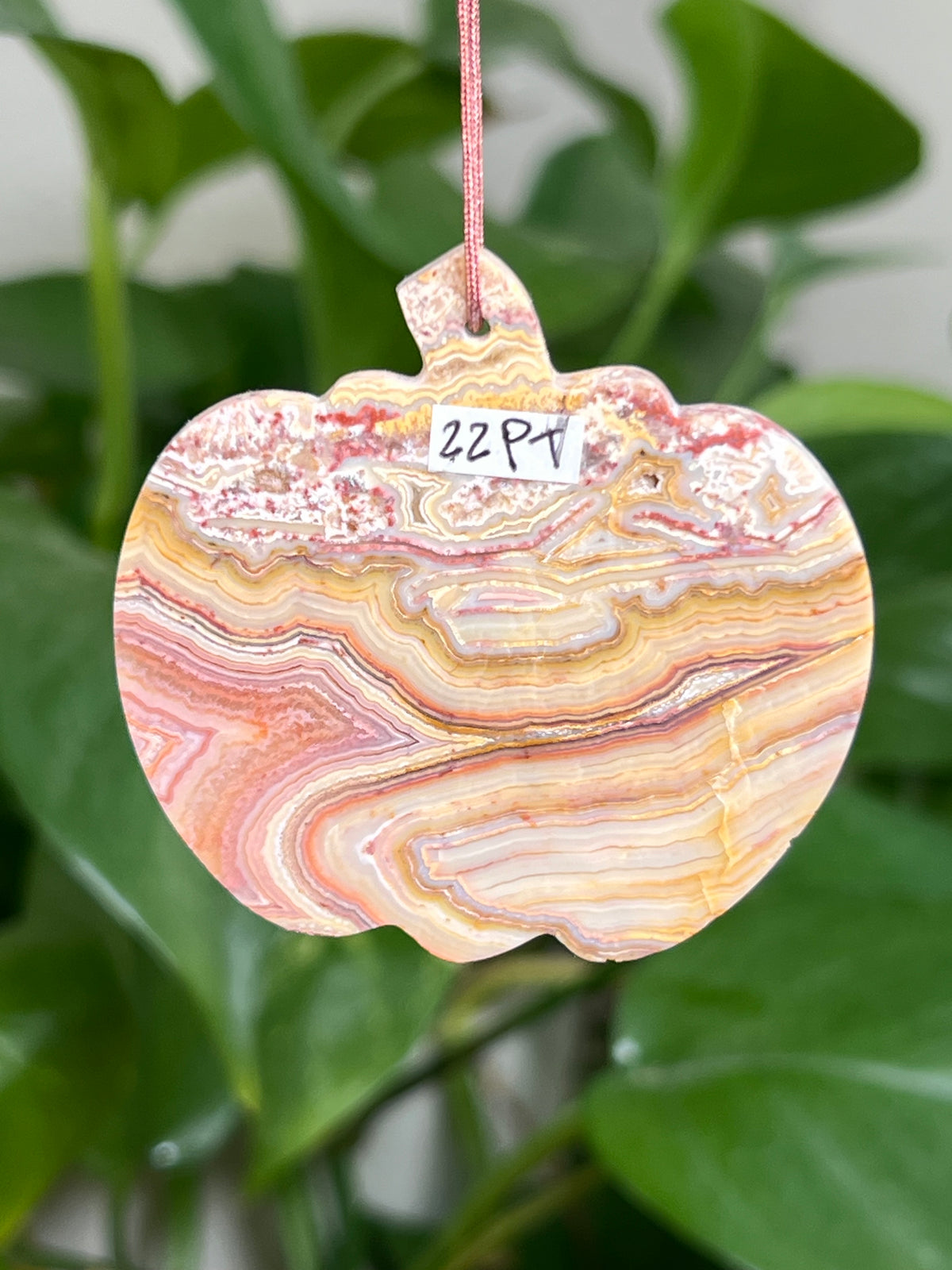 Crazy Lace Agate Ornament Pumpkin: PT