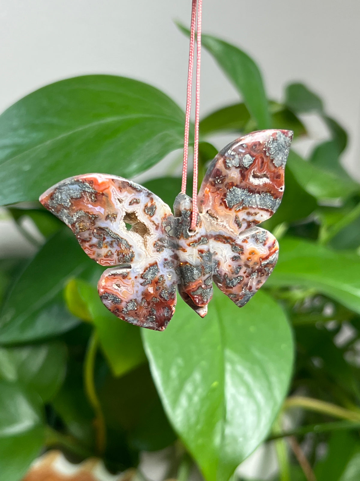 Marcasite Ornamnet Butterfly: NA