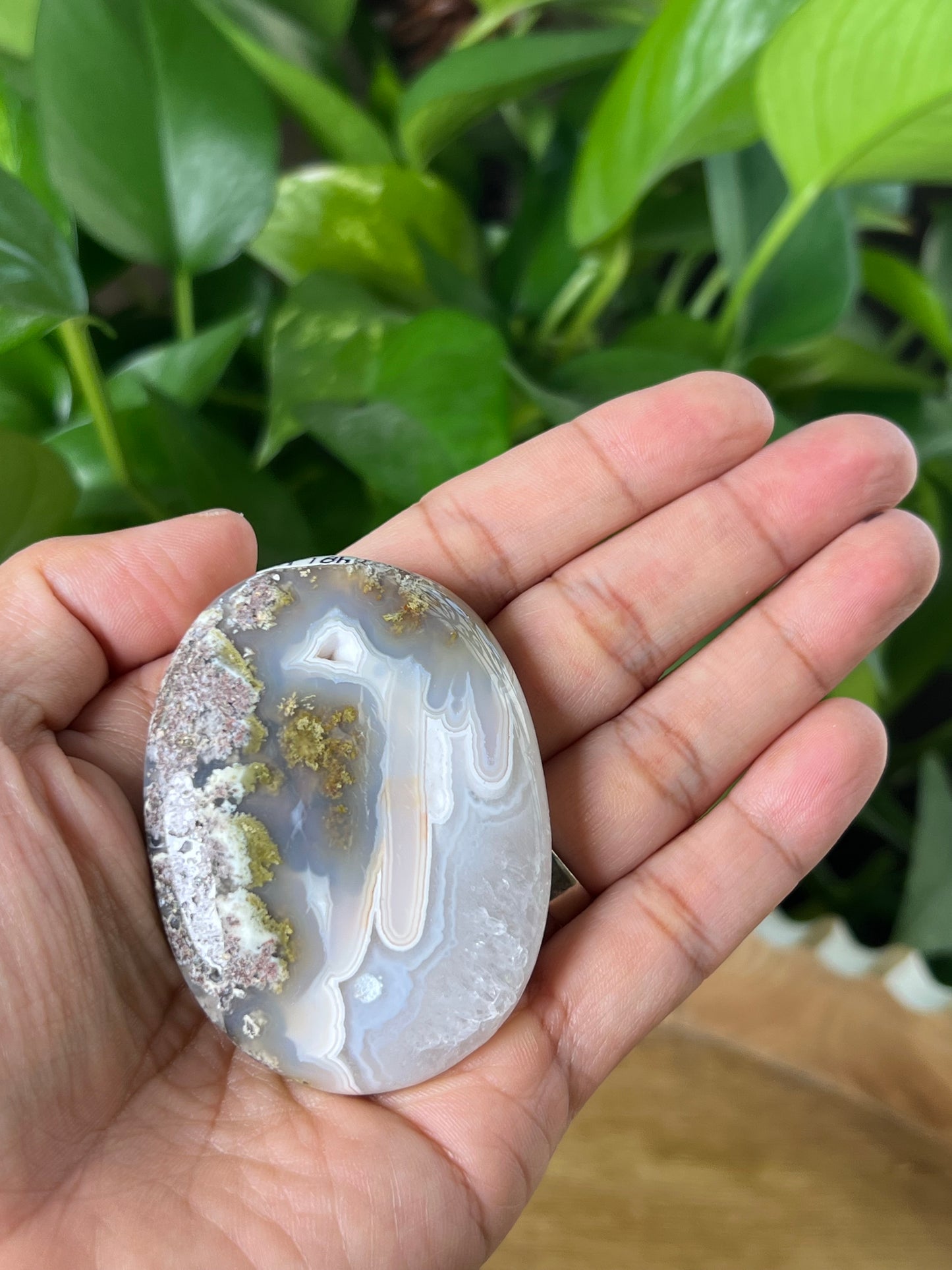 Scenic Moss Agate Palmstone