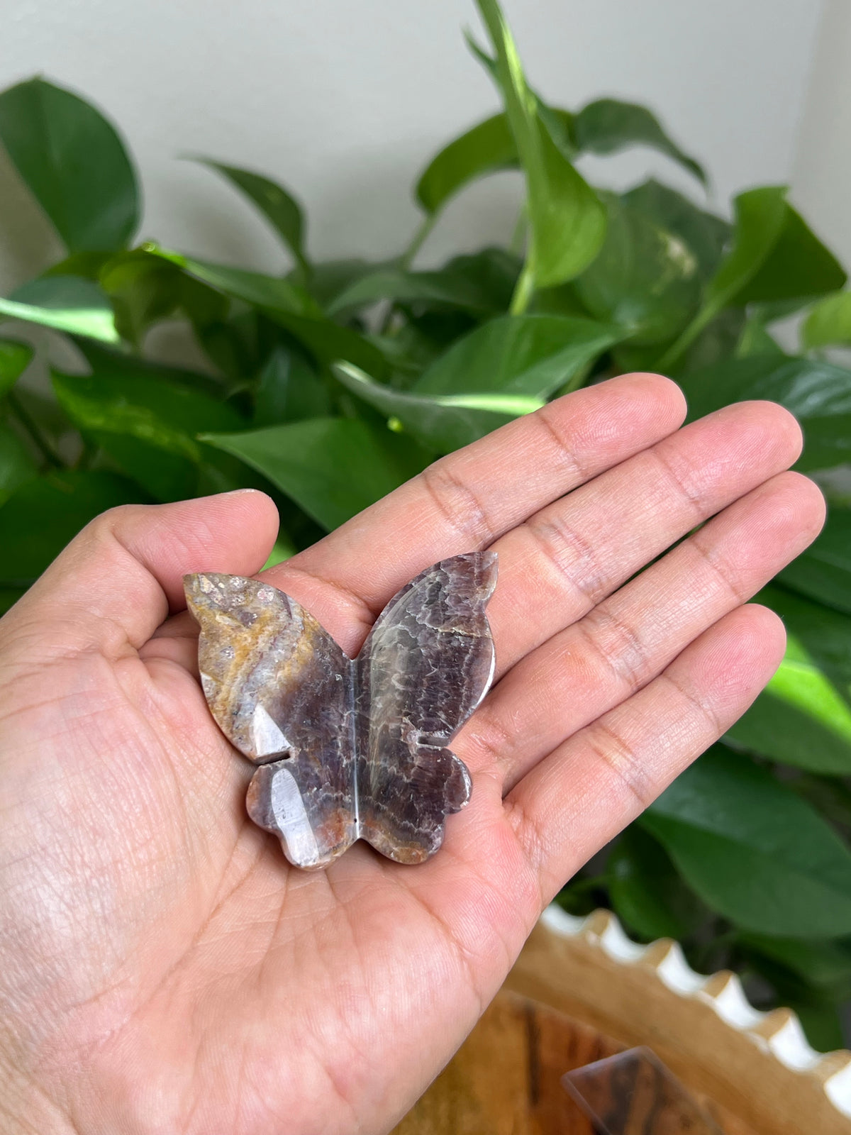 Indonesian Amethyst 3D Butterfly: D