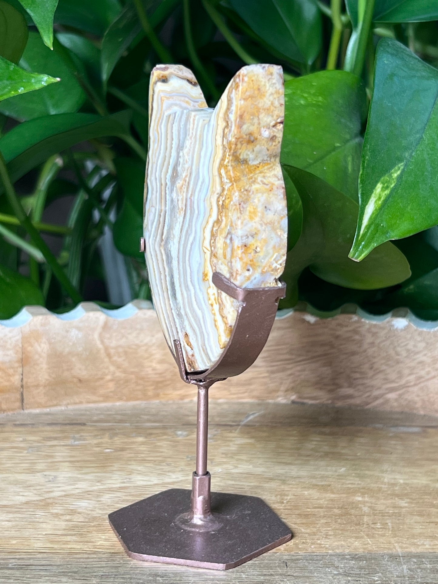 Crazy Lace Agate Cat Head