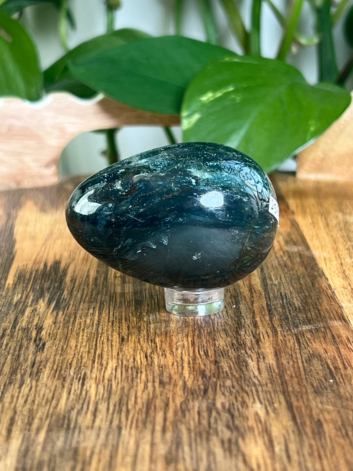 Blue Green Jasper Egg: RA