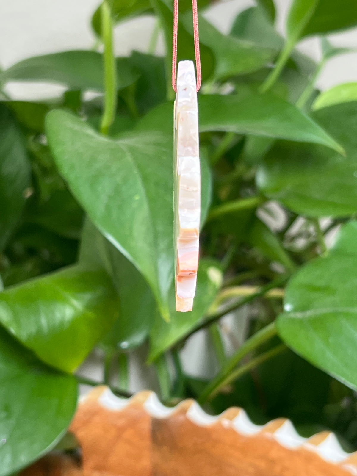 Crazy Lace Agate Ornament Leaf: P