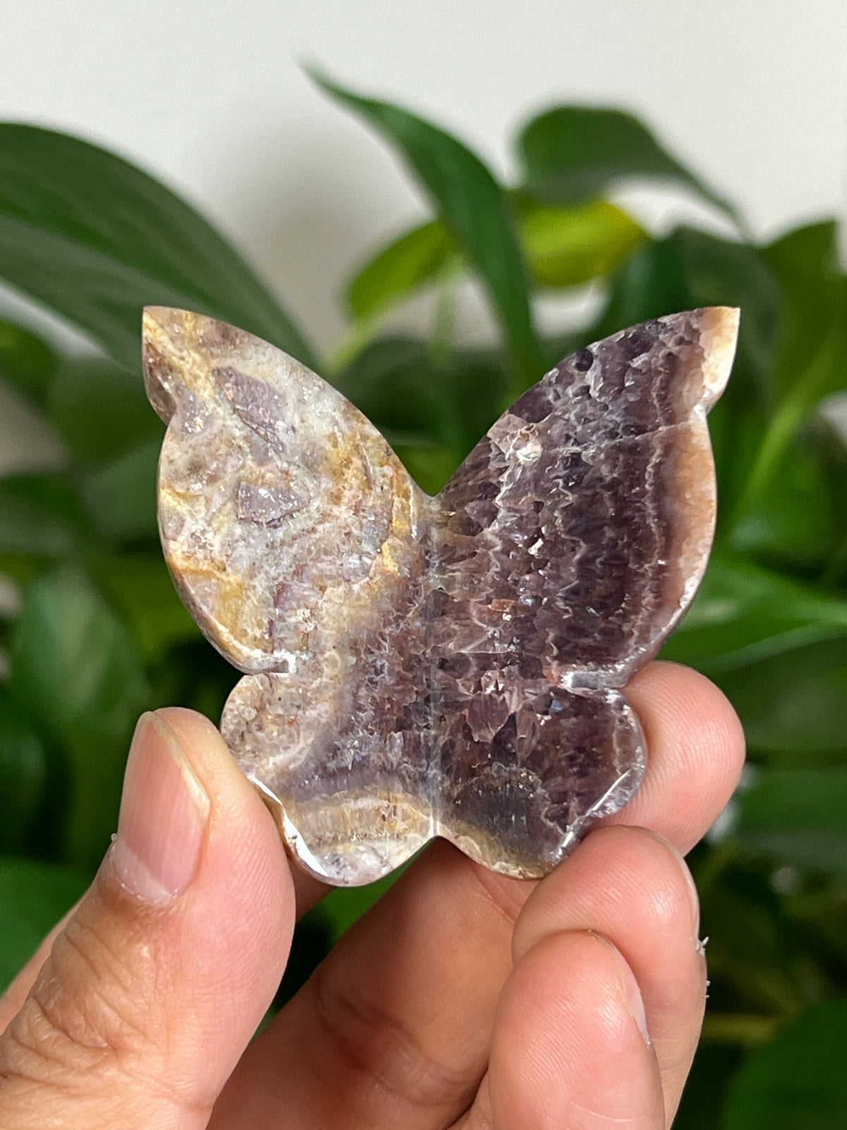 Indonesian Amethyst 3D Butterflies