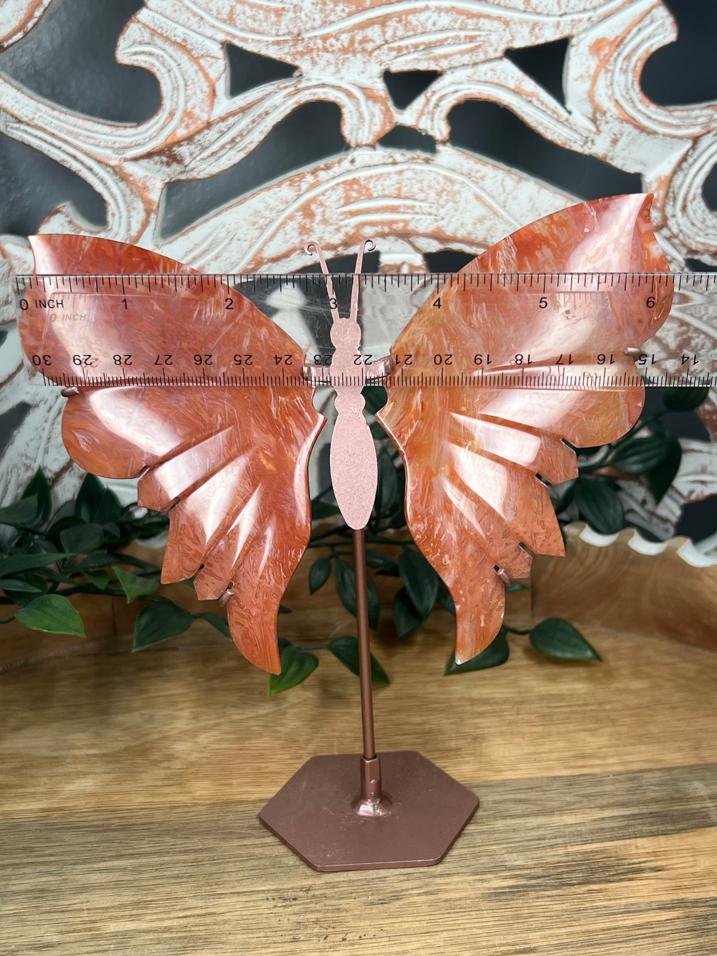 Carnelian Wings