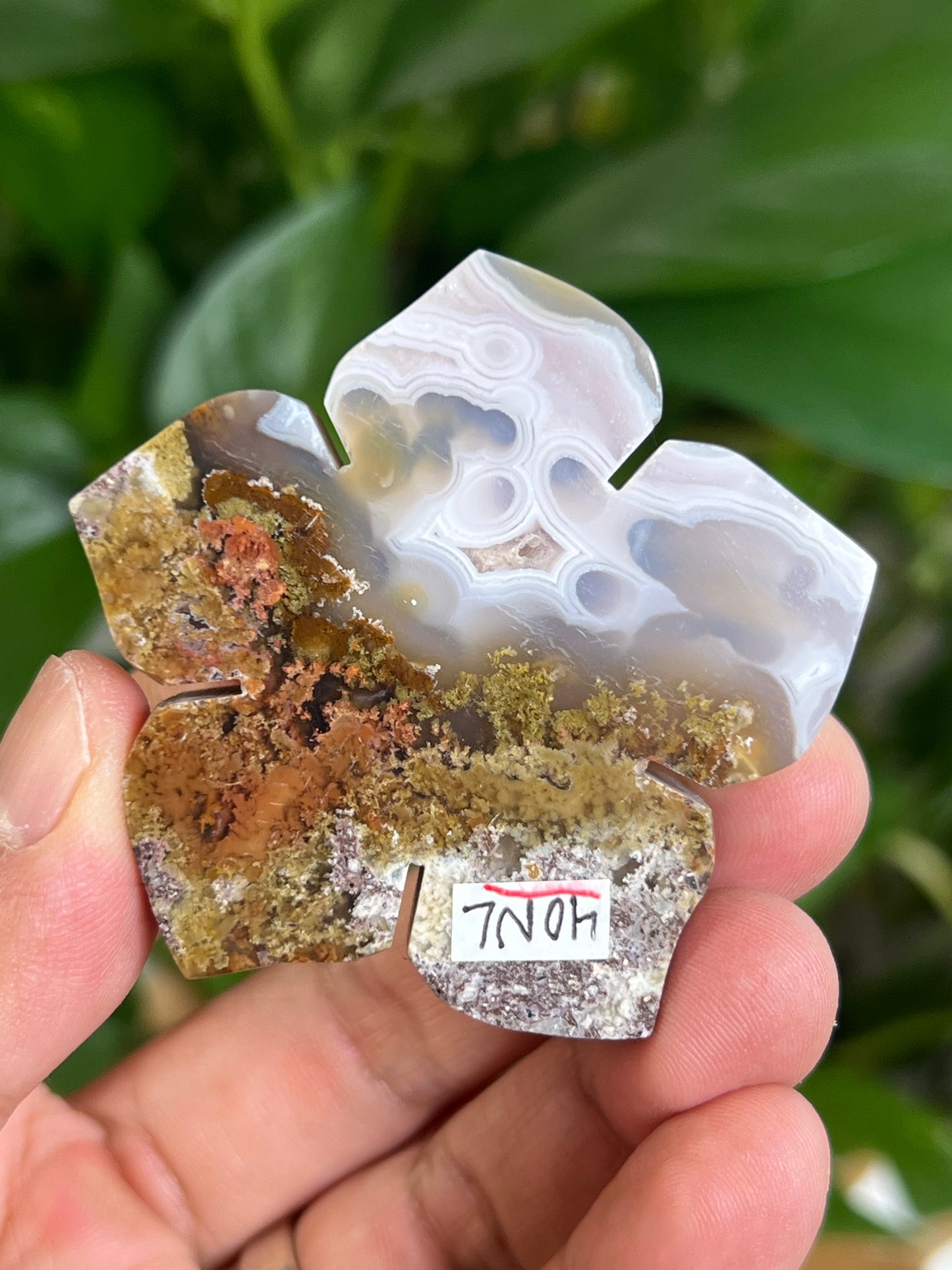 Scenic Moss Agate Flower NL
