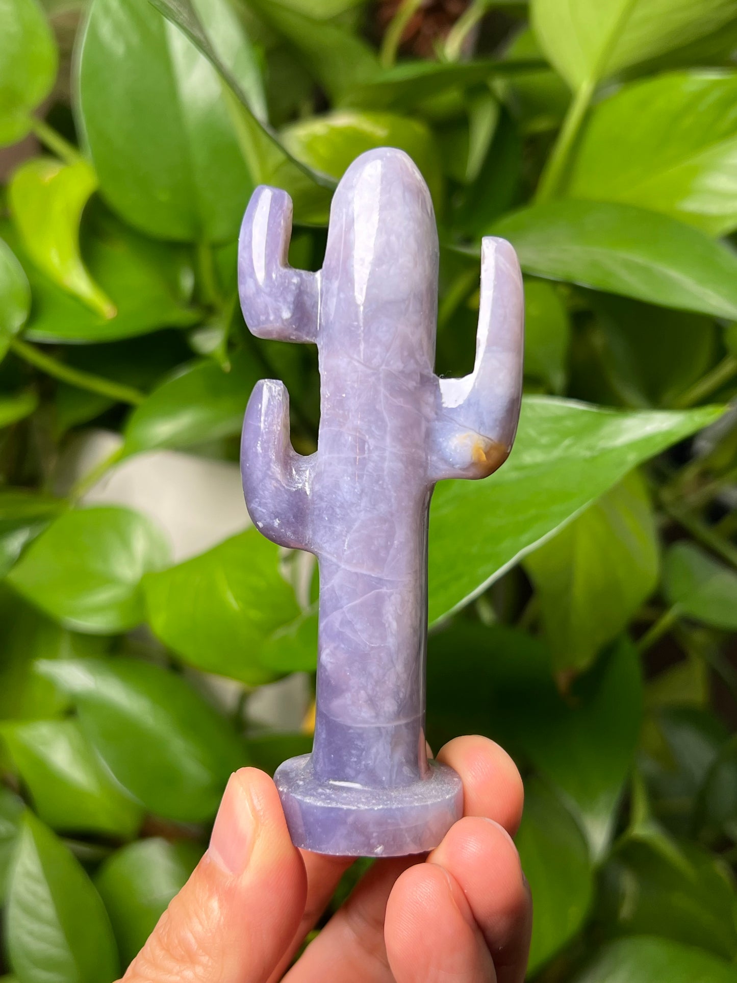 Purple Chalcedony Cactus