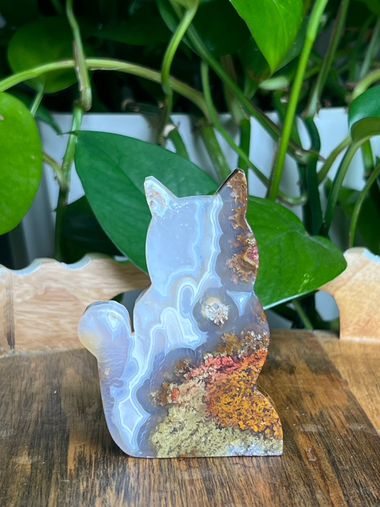 Scenic Moss Agate Cat: HX