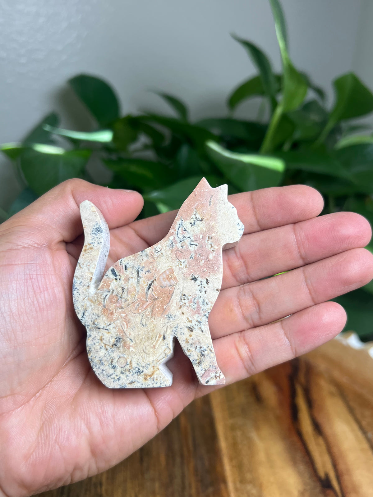 Dendritic Jasper Cat: KC