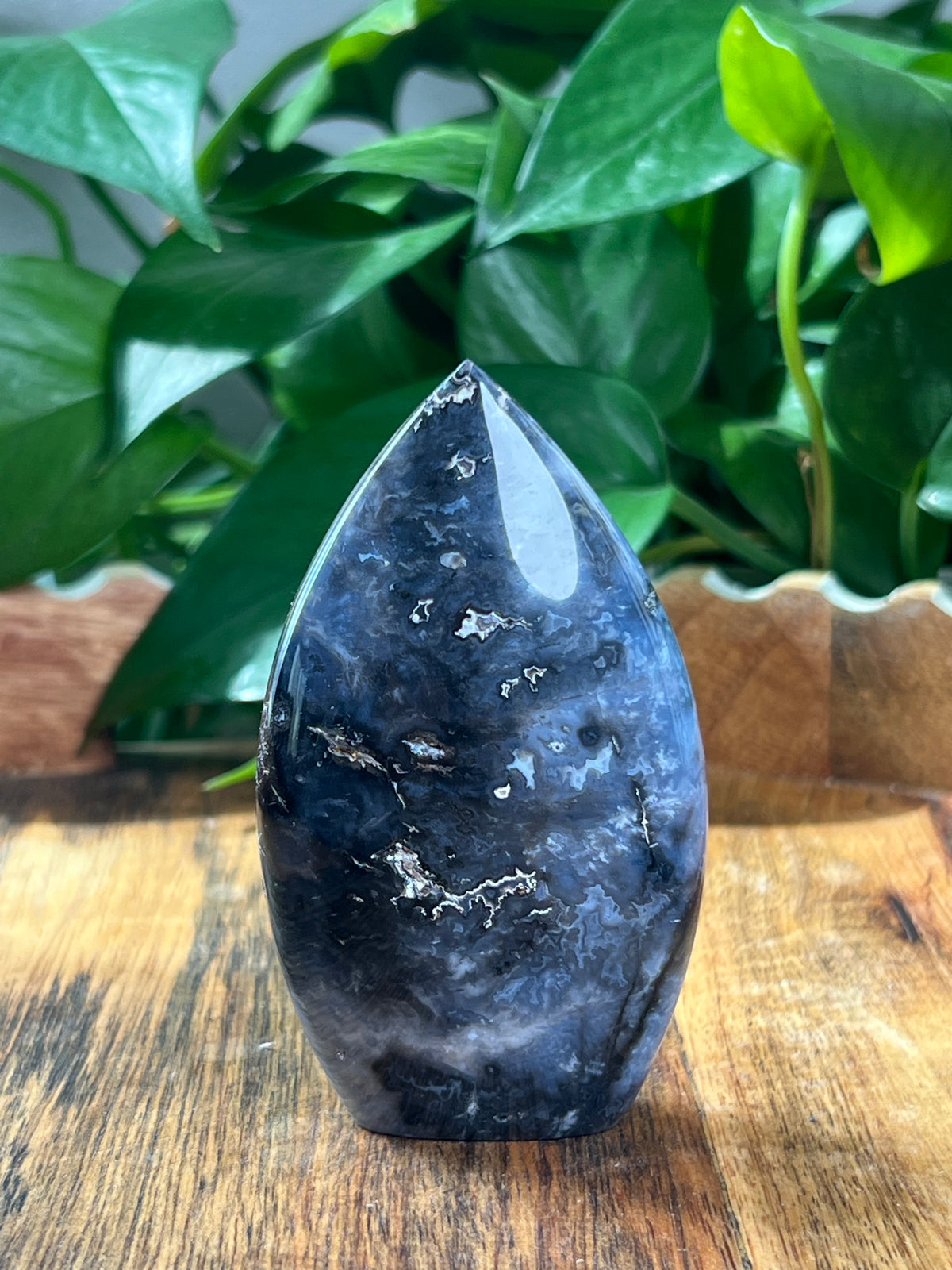 Blue Plume Agate Flame: NB