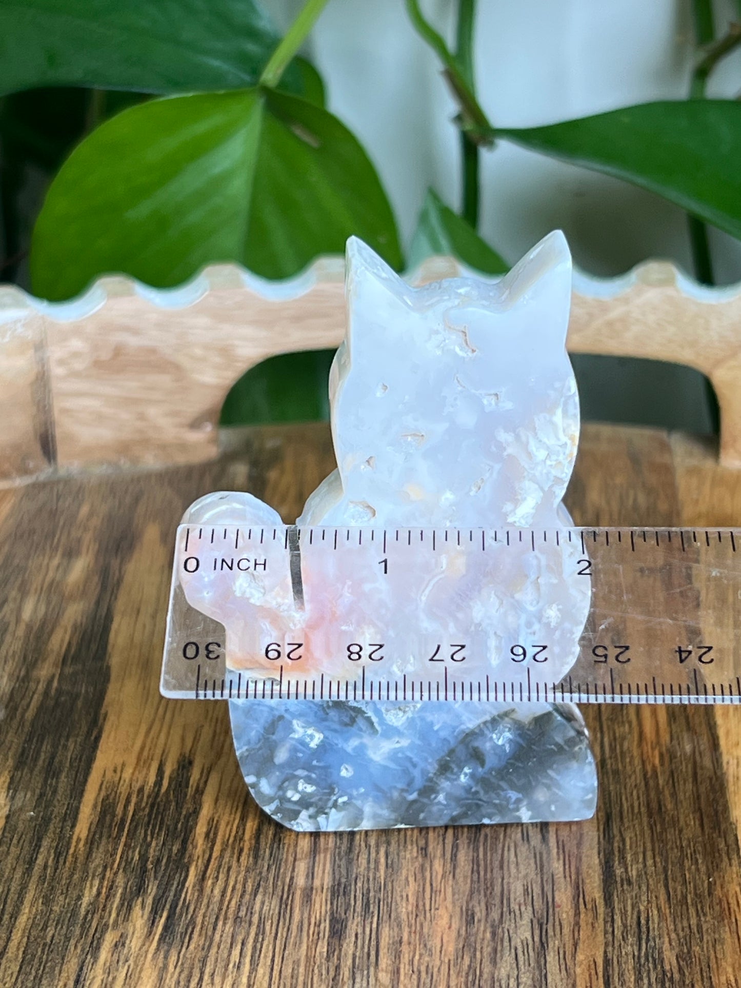 Rainbow Plume Agate Cat NX