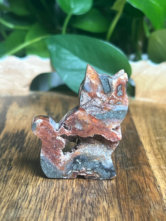 Marcasite Mini Cat: XM