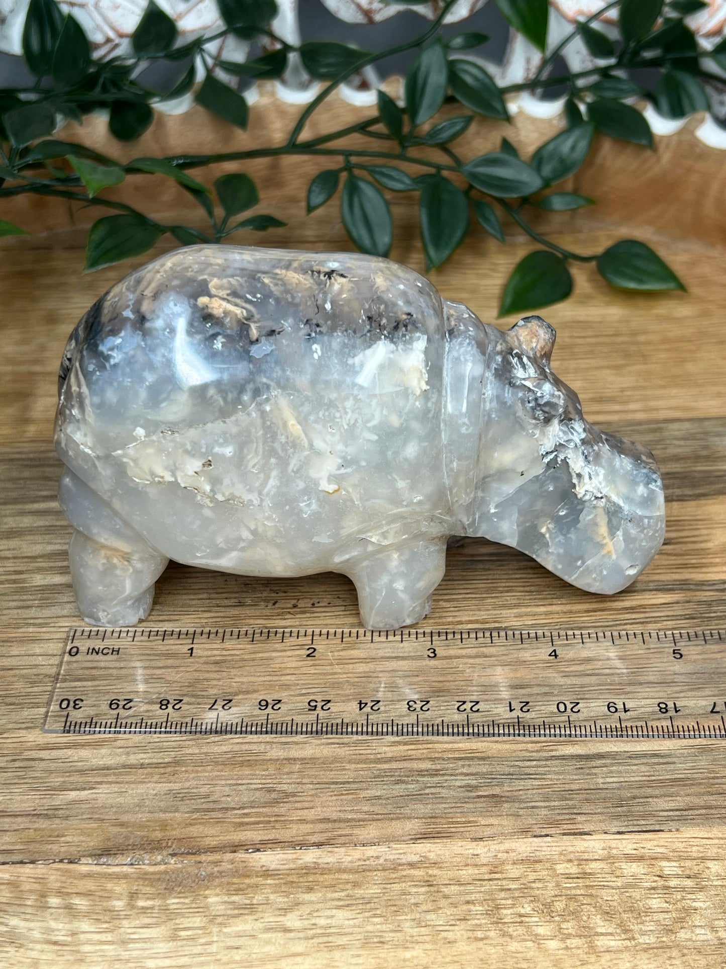 Dendritic Tiger Agate Hippo