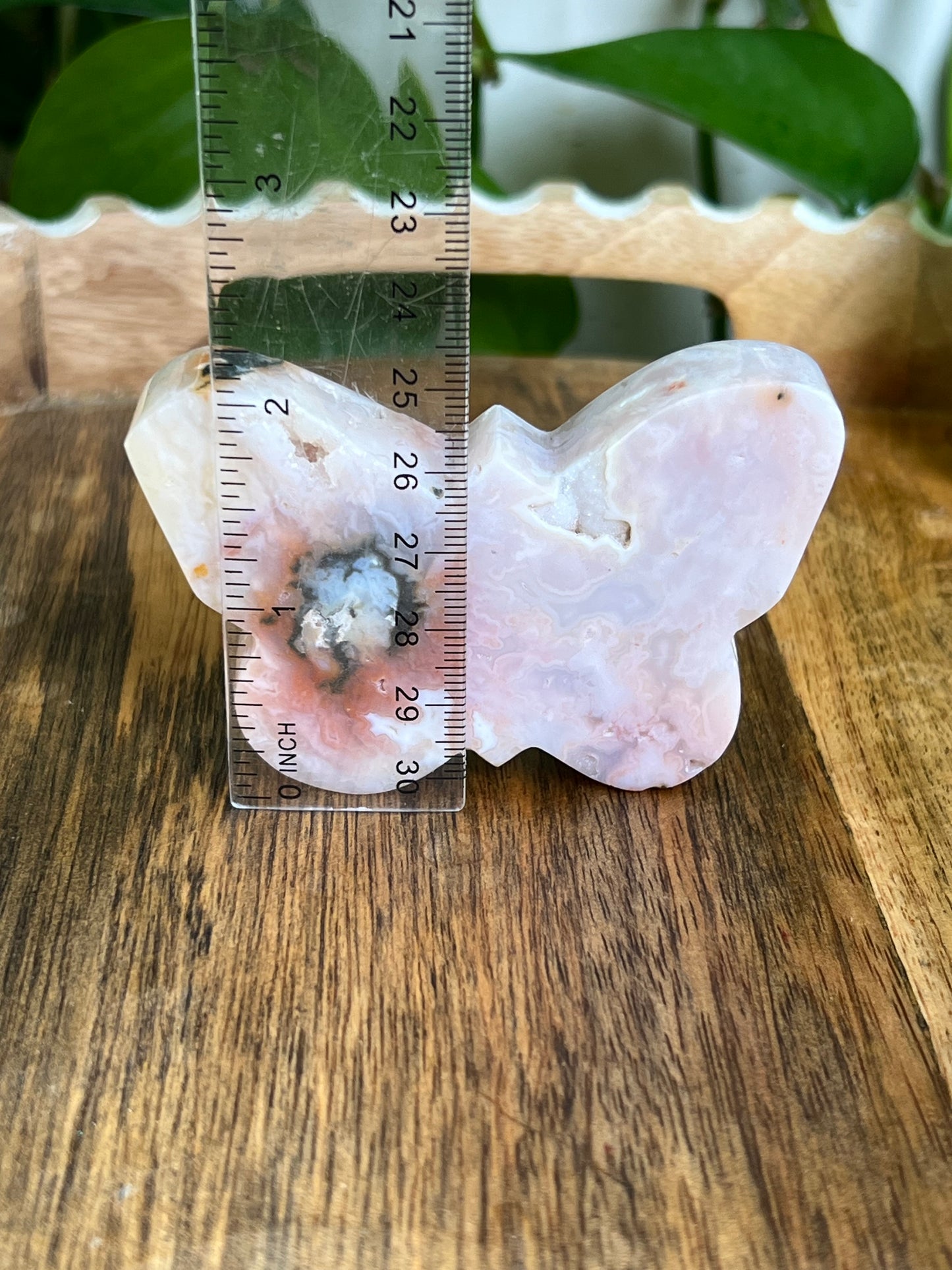 Rainbow Plume Agate Butterfly RH