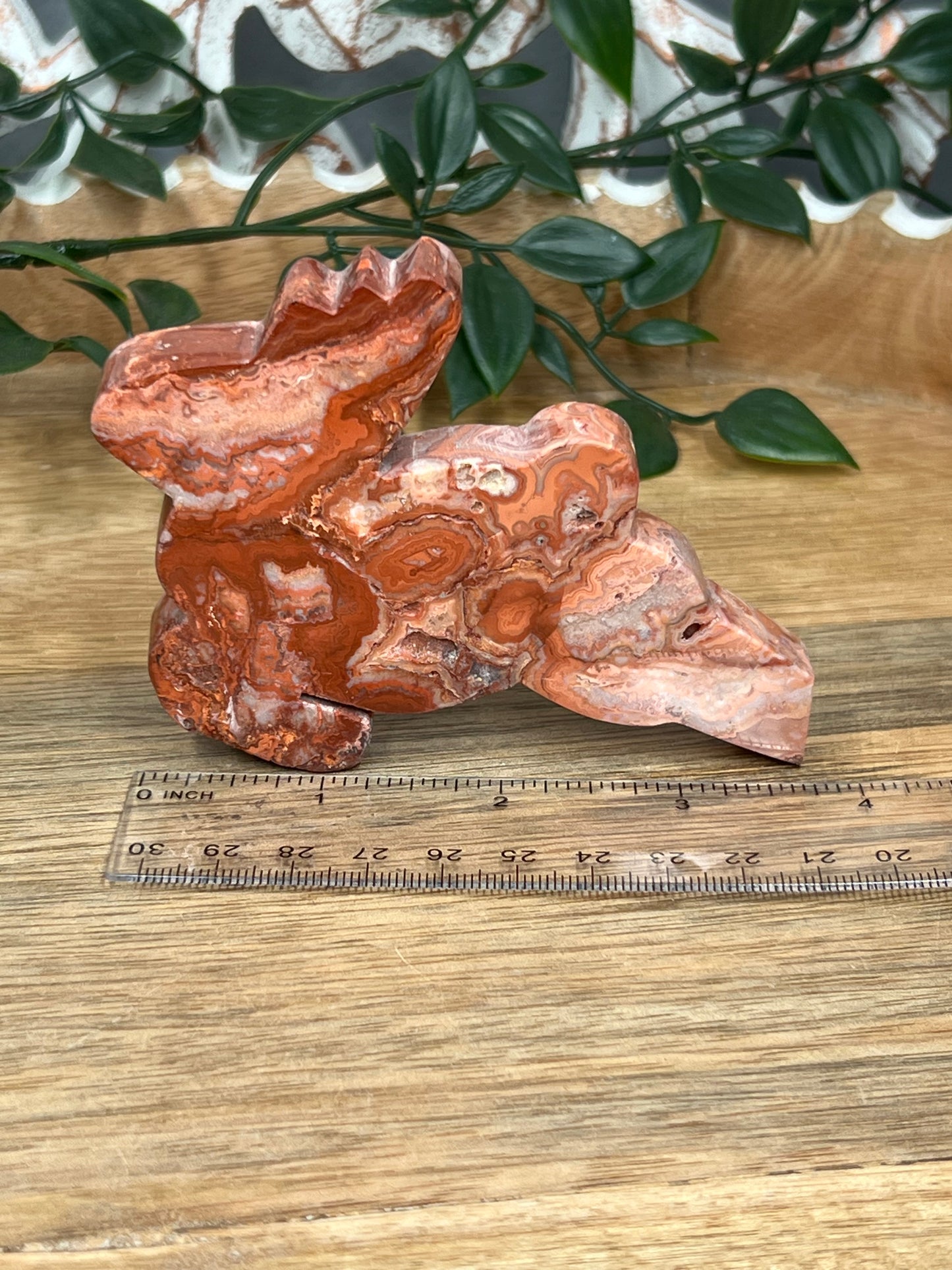 Crazy Lace Agate Deer