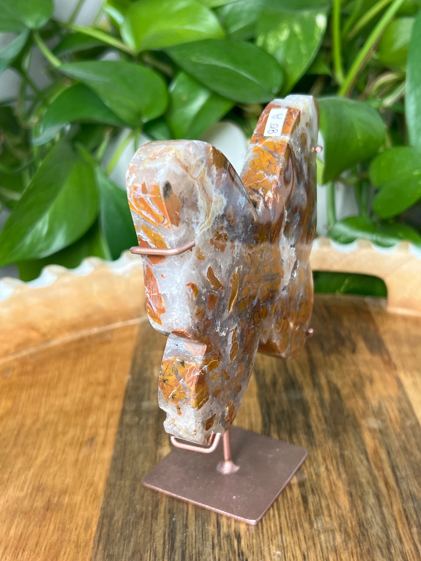 Brecciated Jasper Butterfly