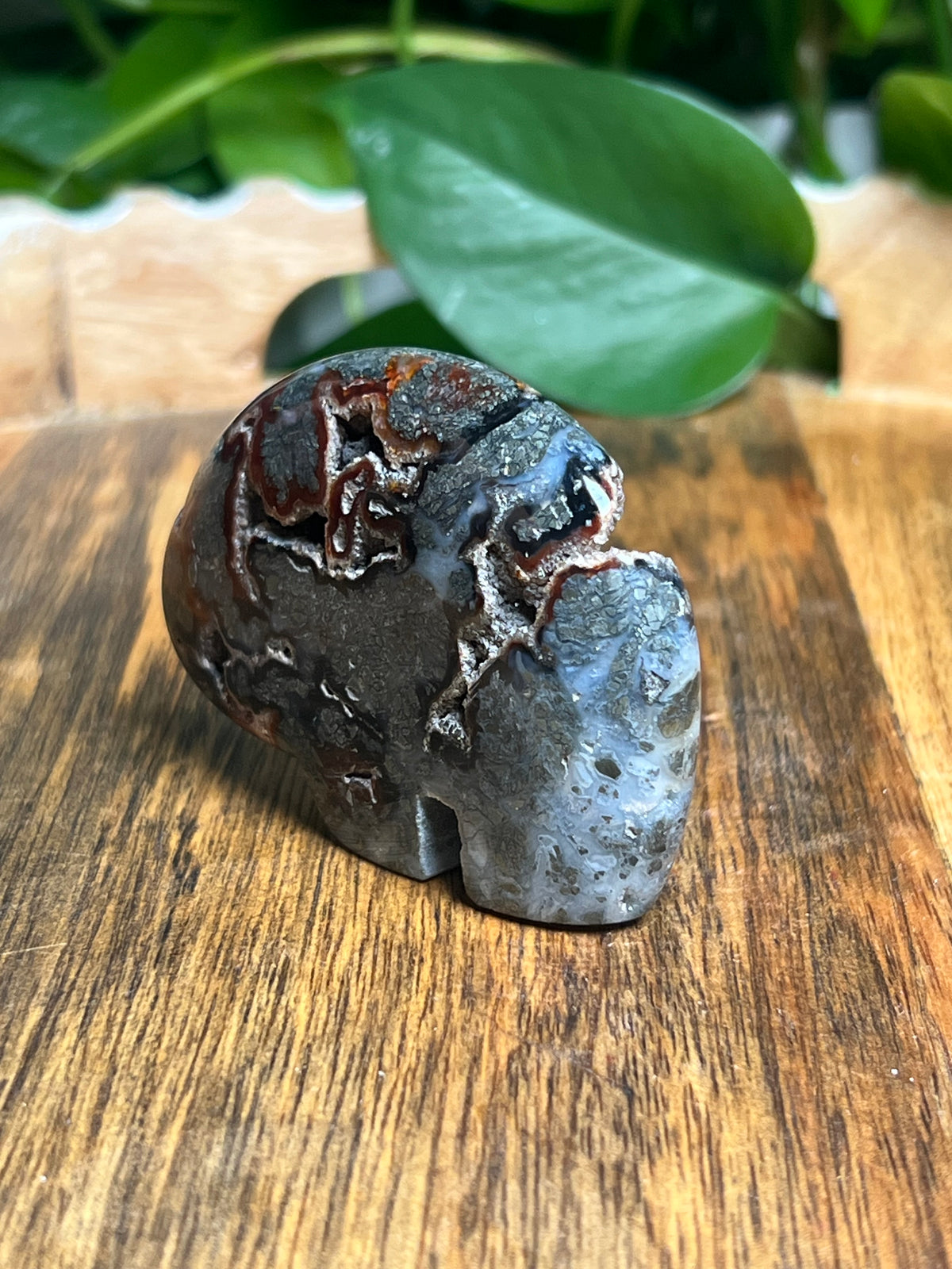 Marcasite Bear: Ti