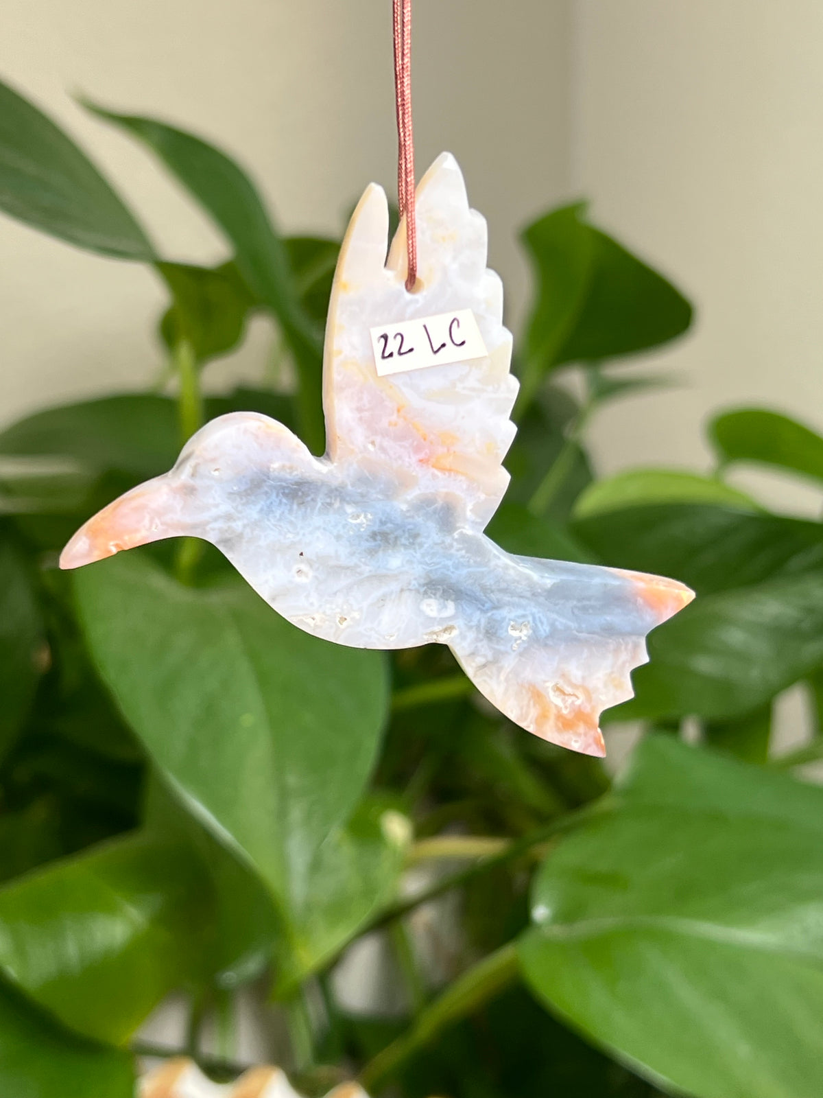 Rainbow Plume Agate Hummingbird: LC