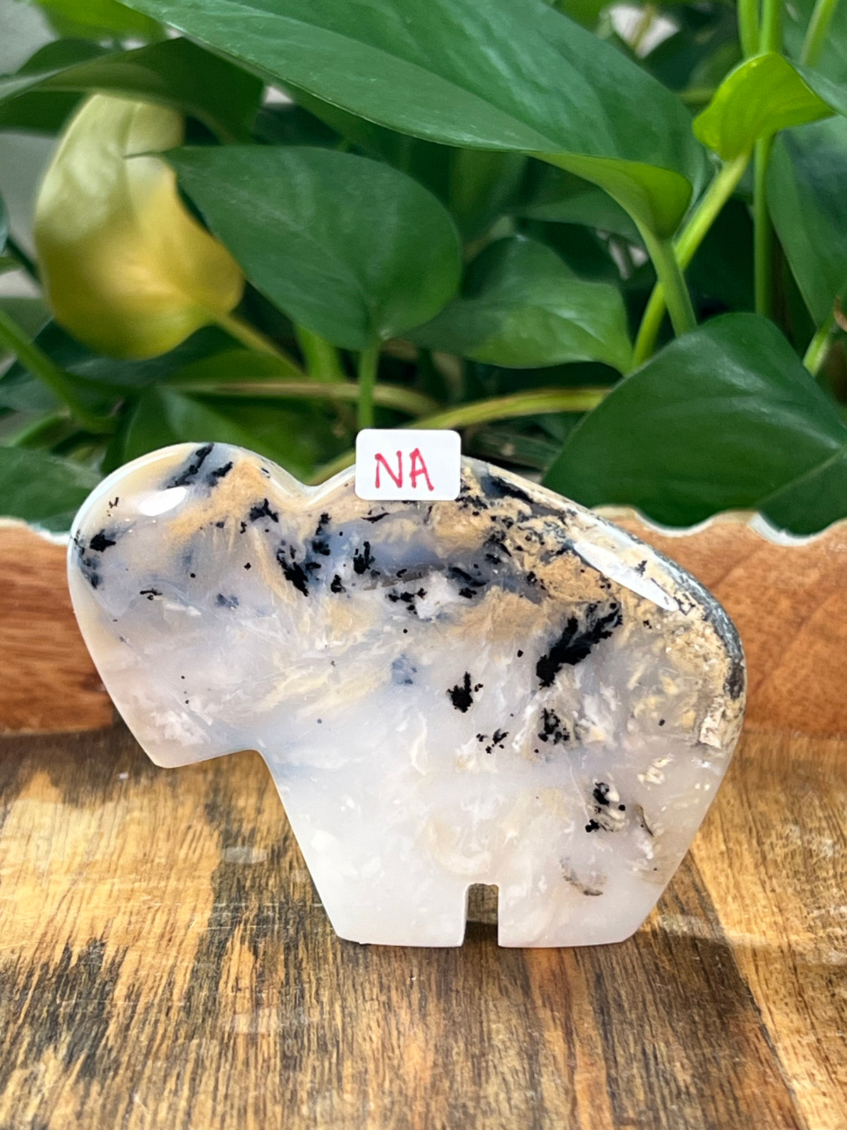 Dendritic Tiger Agate Buffalos