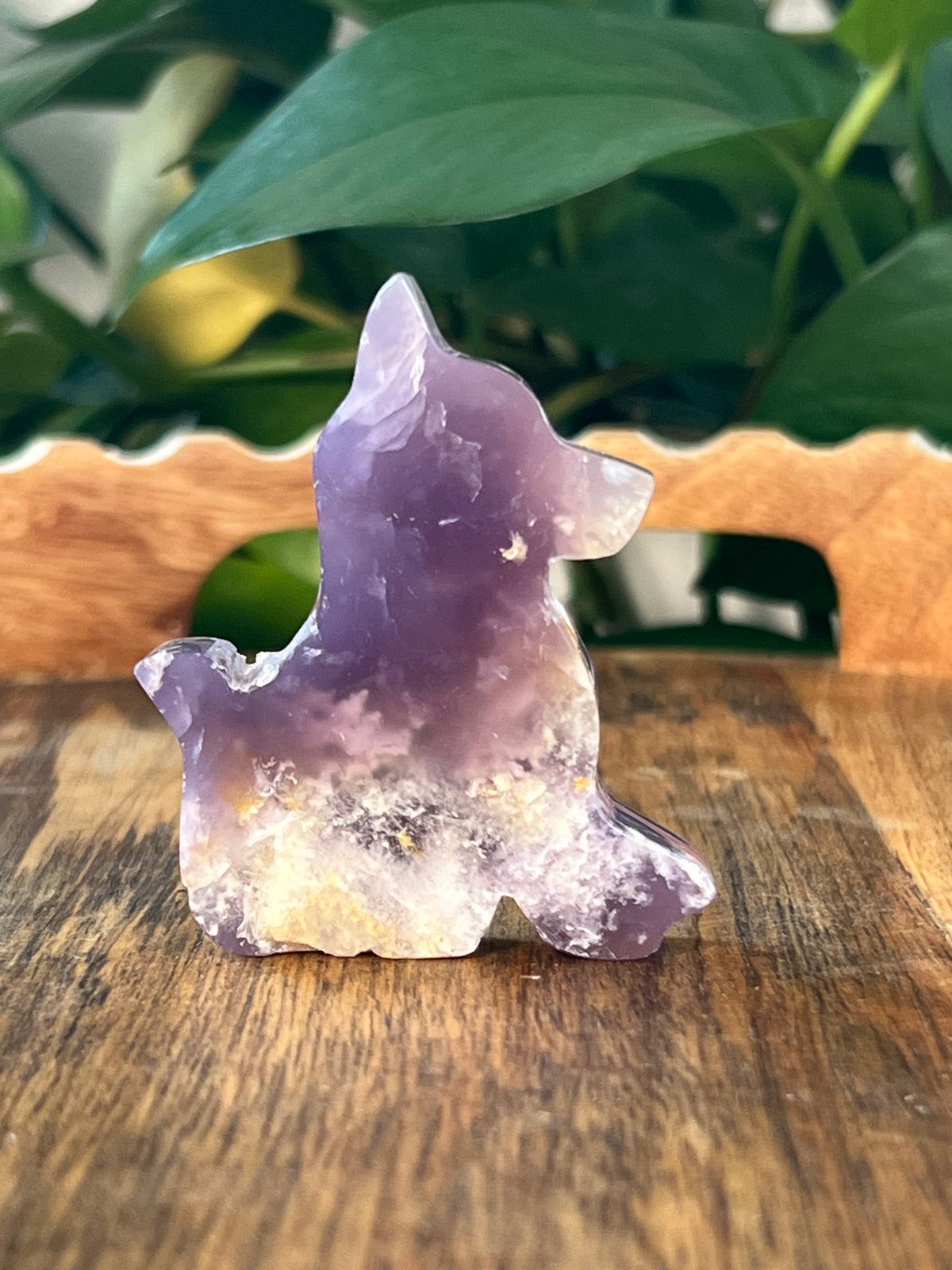 Purple Chalcedony Dogs