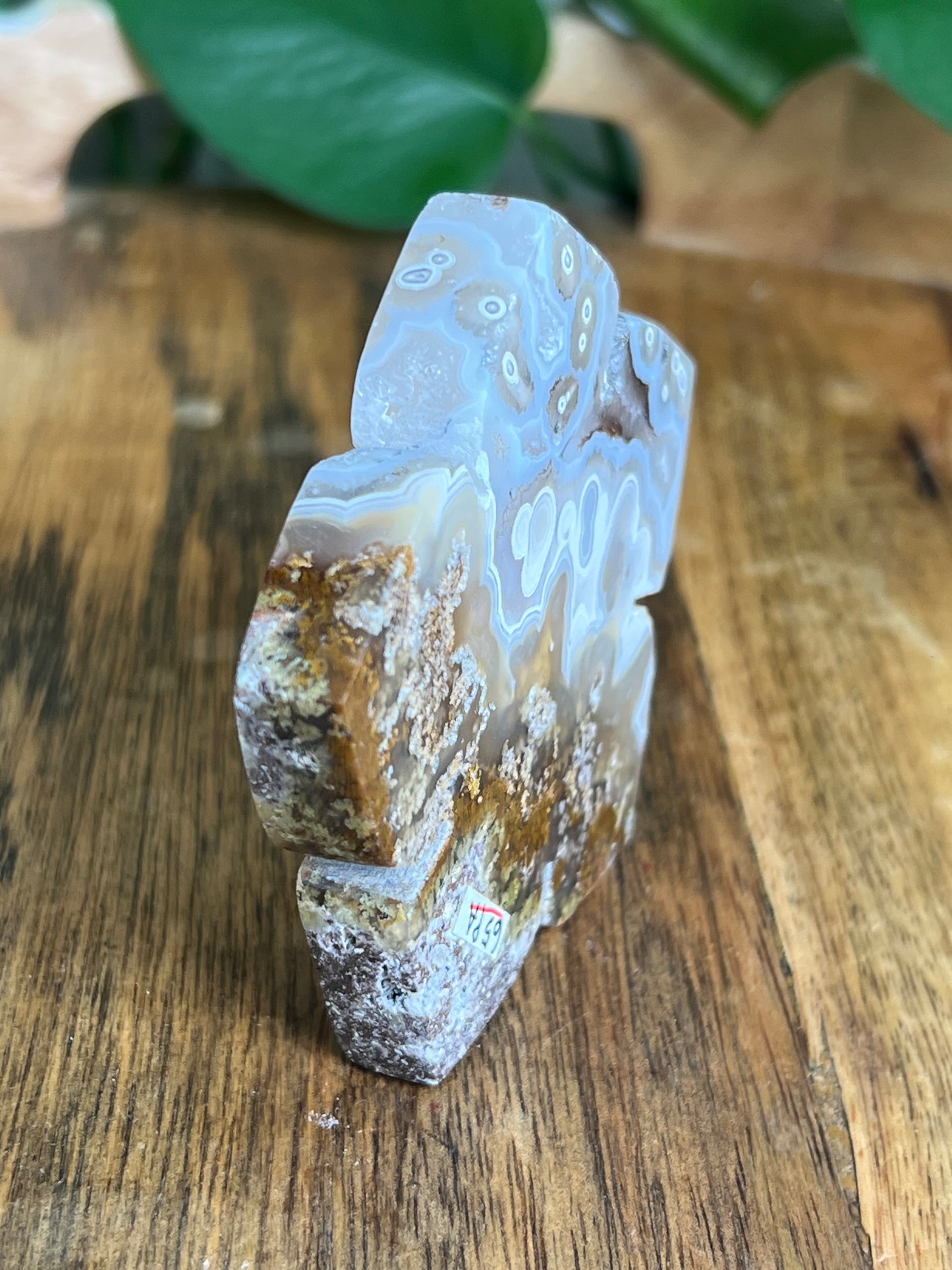 Scenic Moss Agate Flower PA