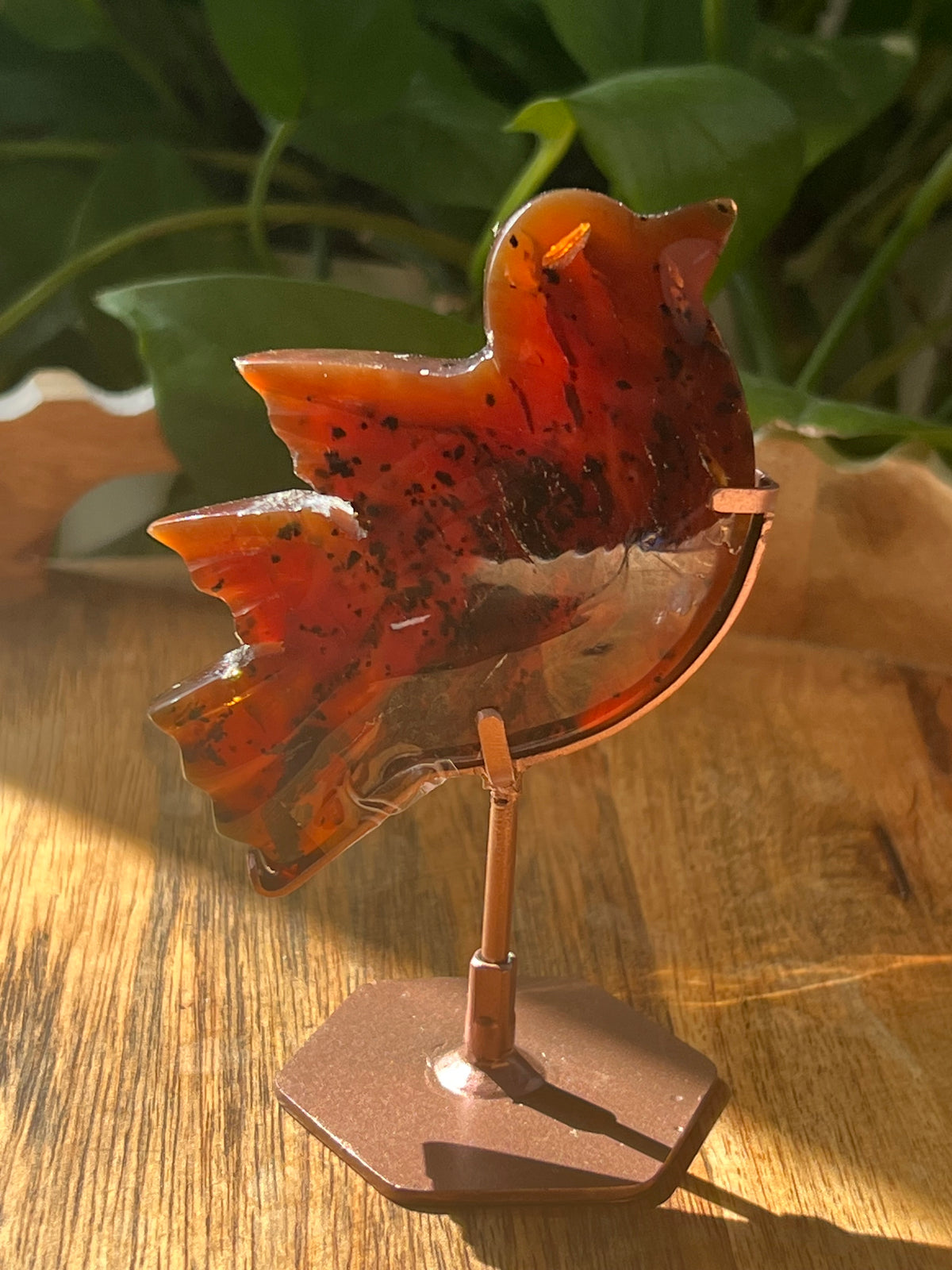 Blue Amber Bird: AA