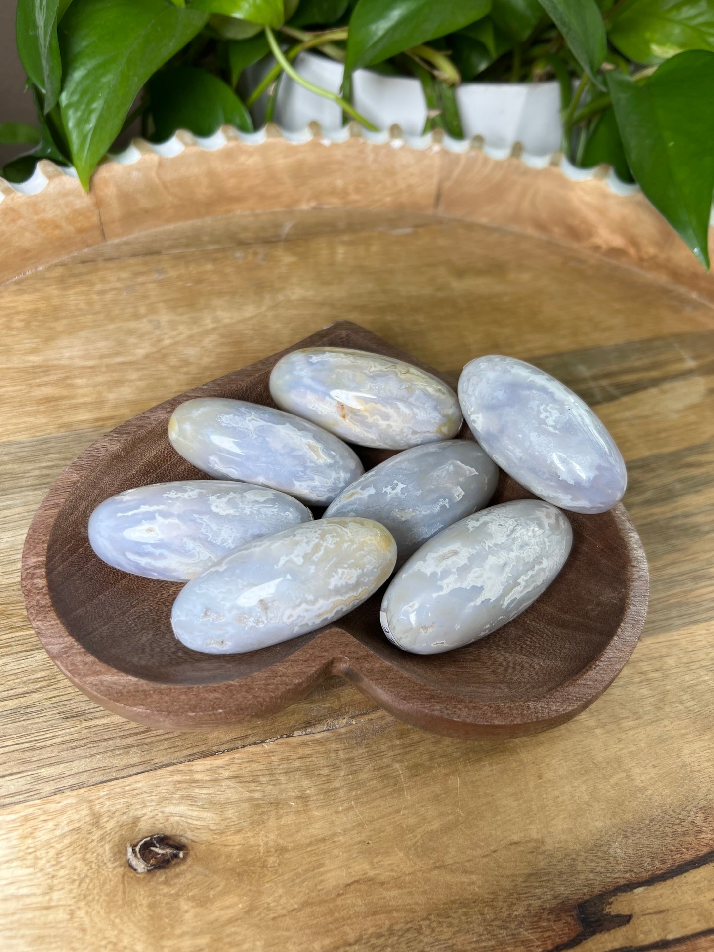 Winter Plume Agate Shivas