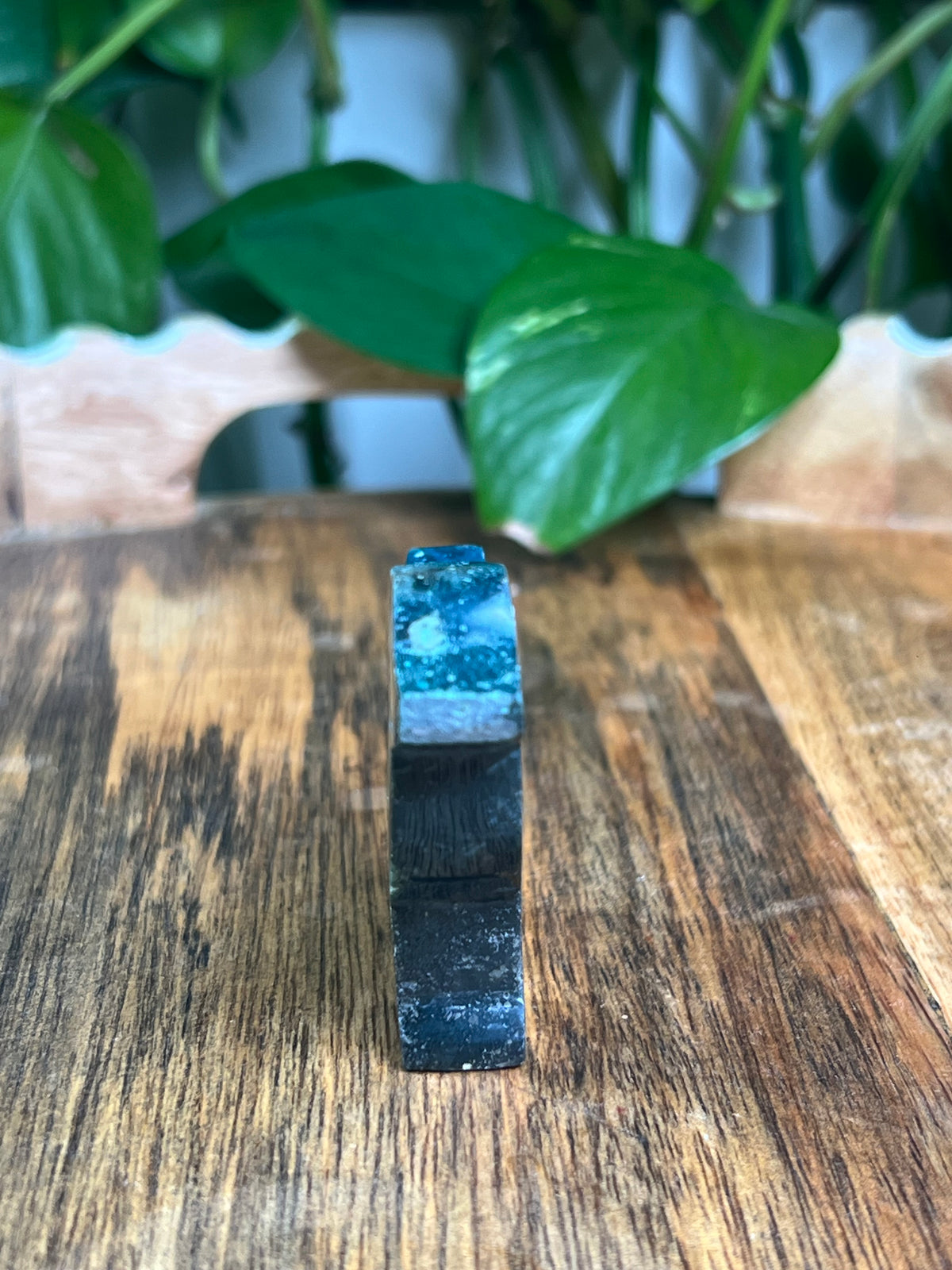 Blue Green Jasper Dog: BB