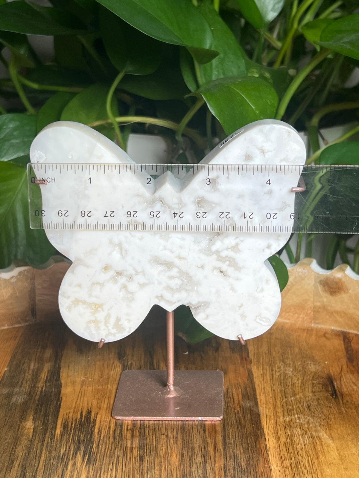 White Plume Agate Butterfly: PL