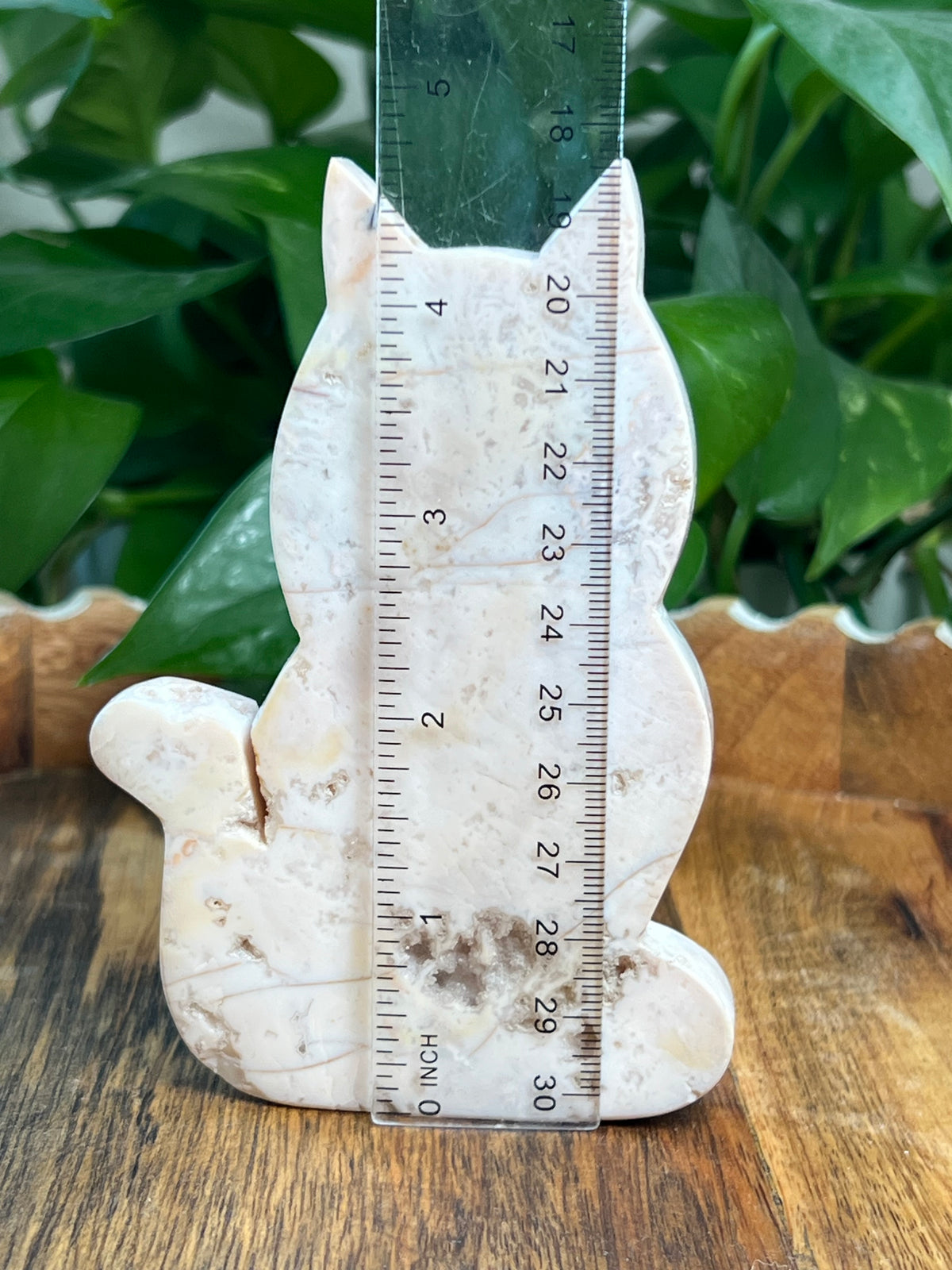 Pink Carnelian Cat: QS