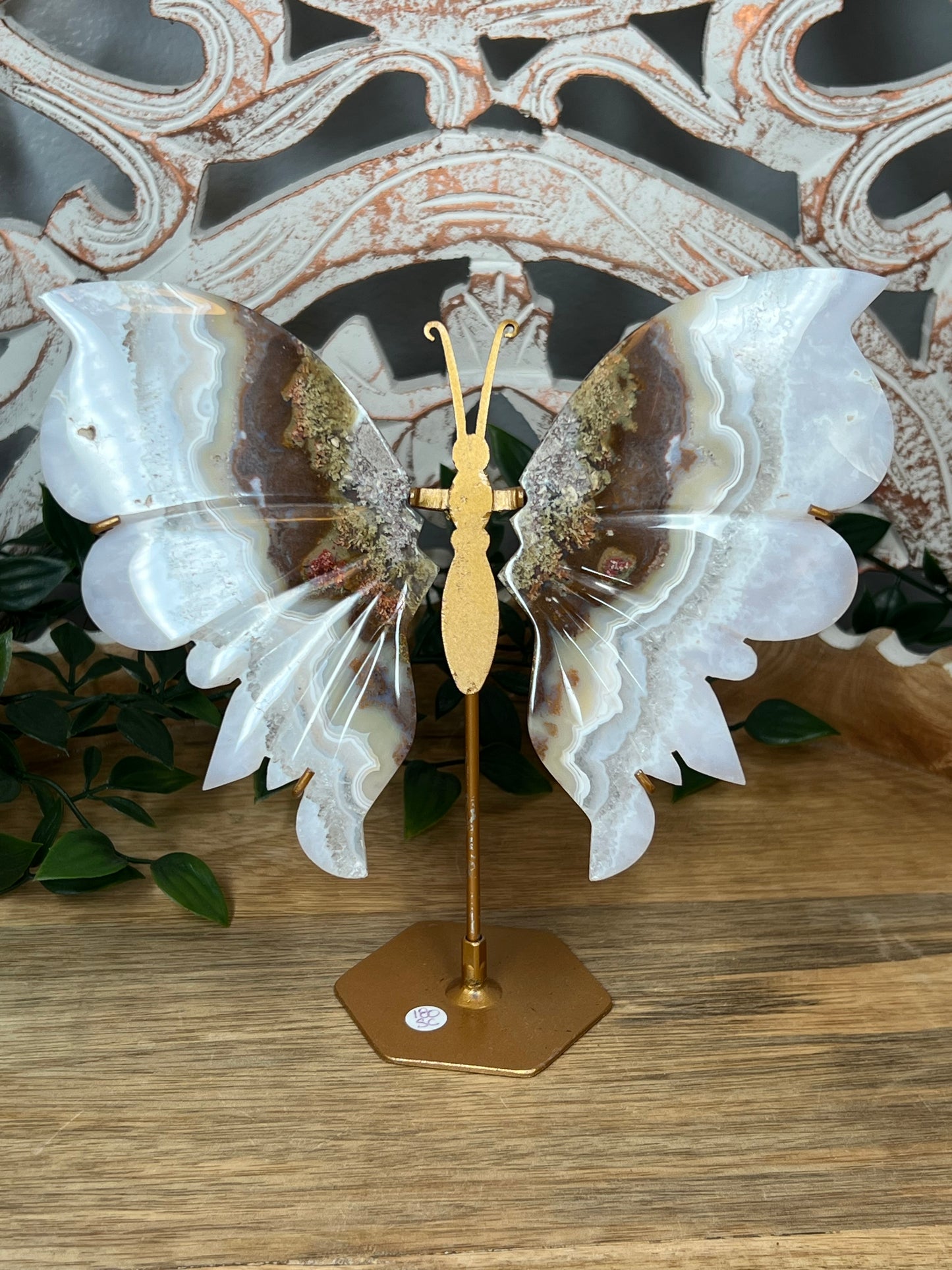 Scenic Moss Agate Wings