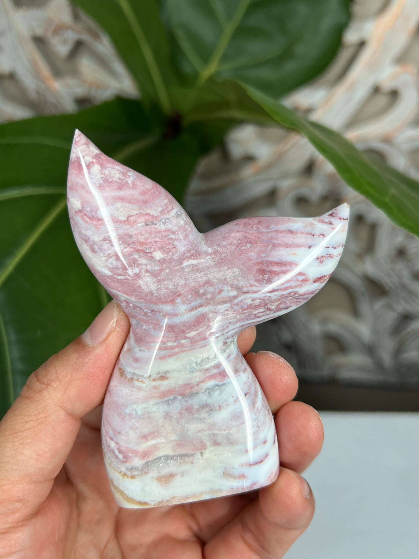 Milky Jasper Tail