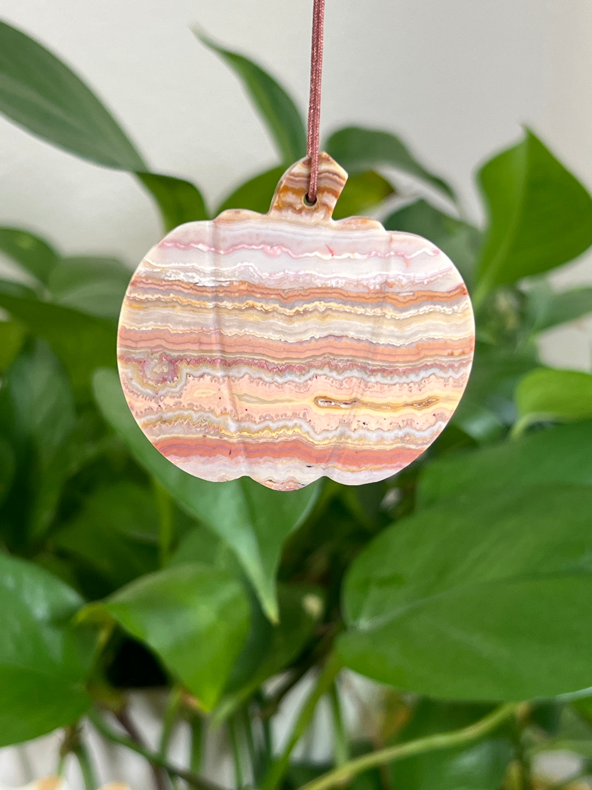 Crazy Lace Agate Pumpkin Ornaments