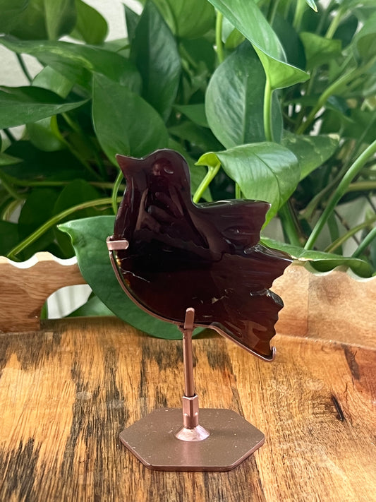 Blue Amber Bird: AC
