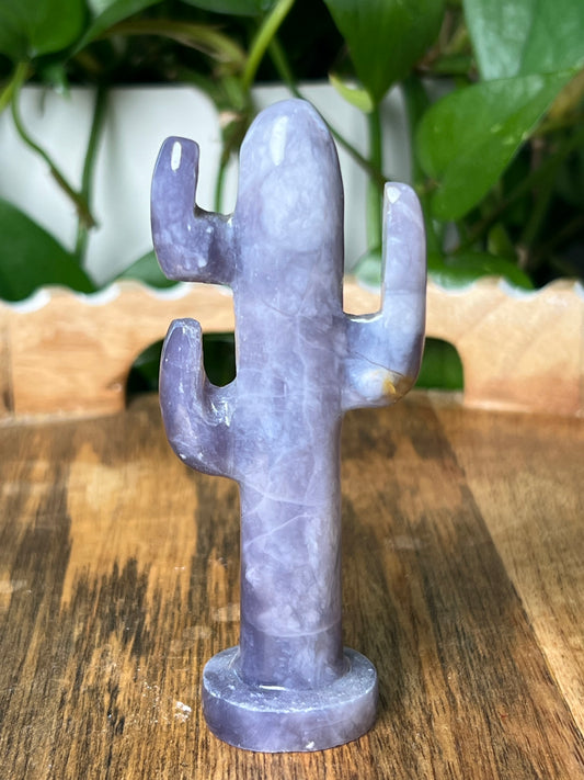 Purple Chalcedony Cactus