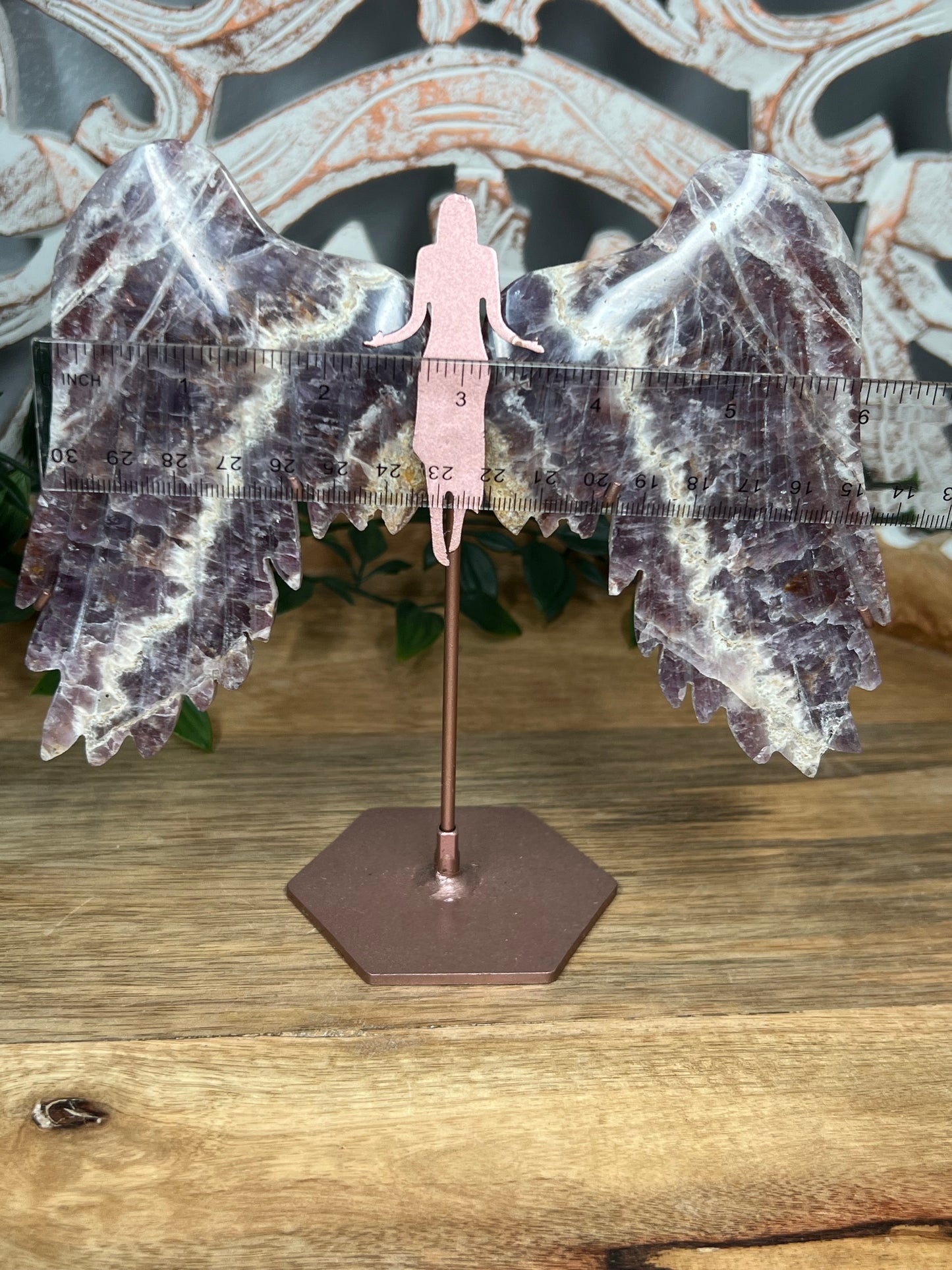 Indonesian Amethyst Wings