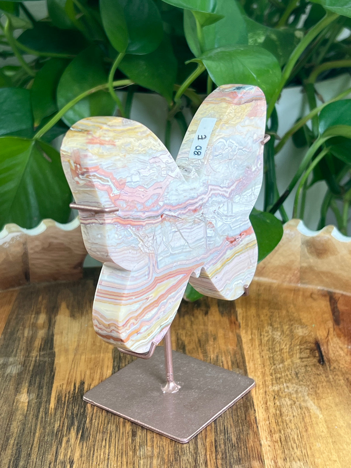 Crazy Lace Agate Butterfly: E