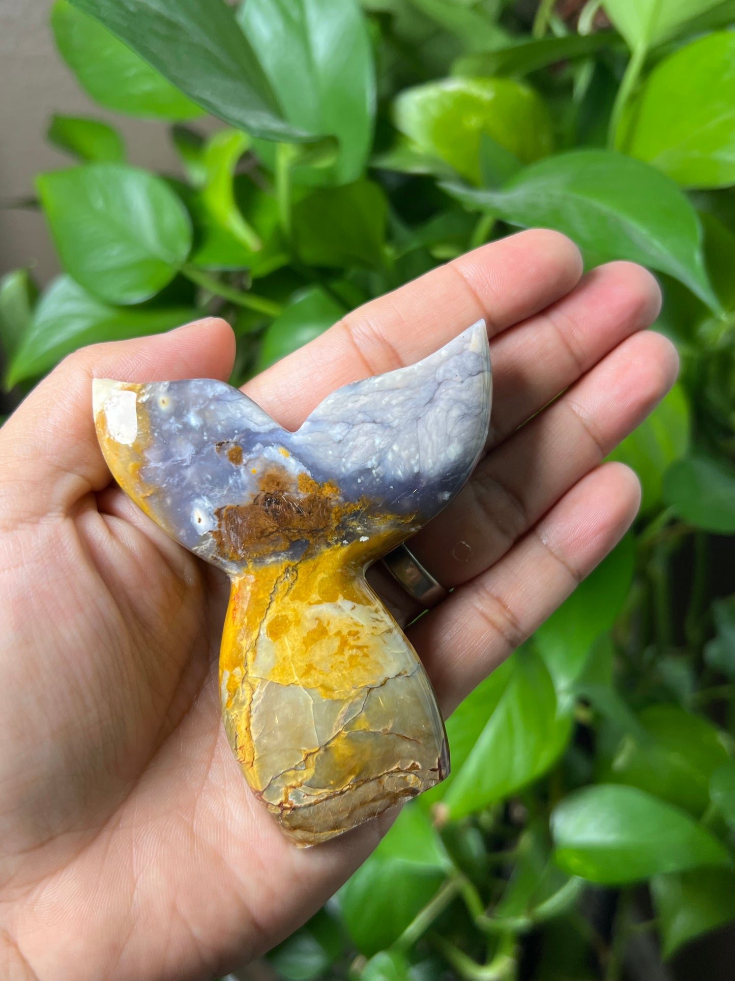 Purple Chalcedony Tail