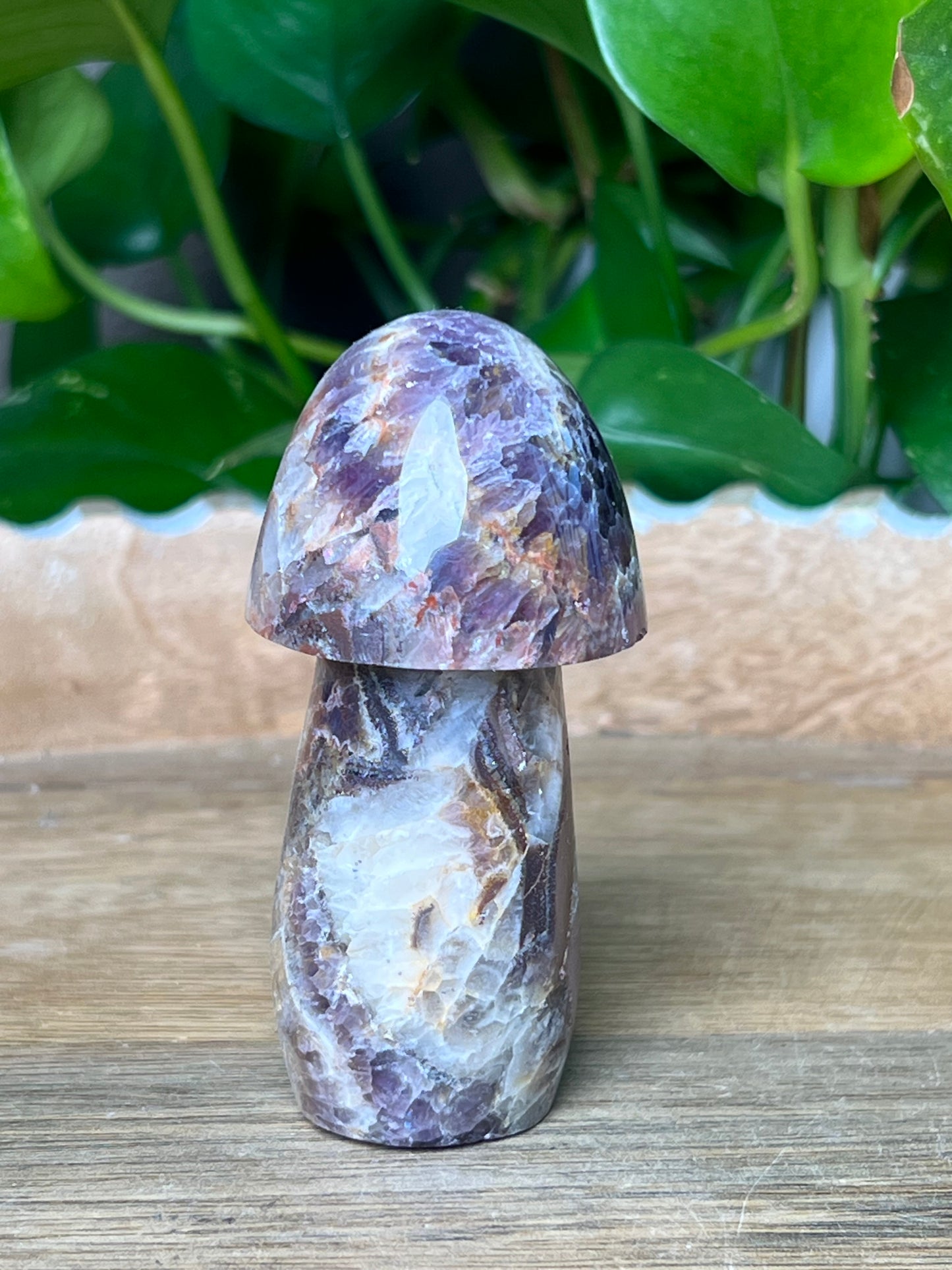Indonesia Amethyst Mushroom: TE