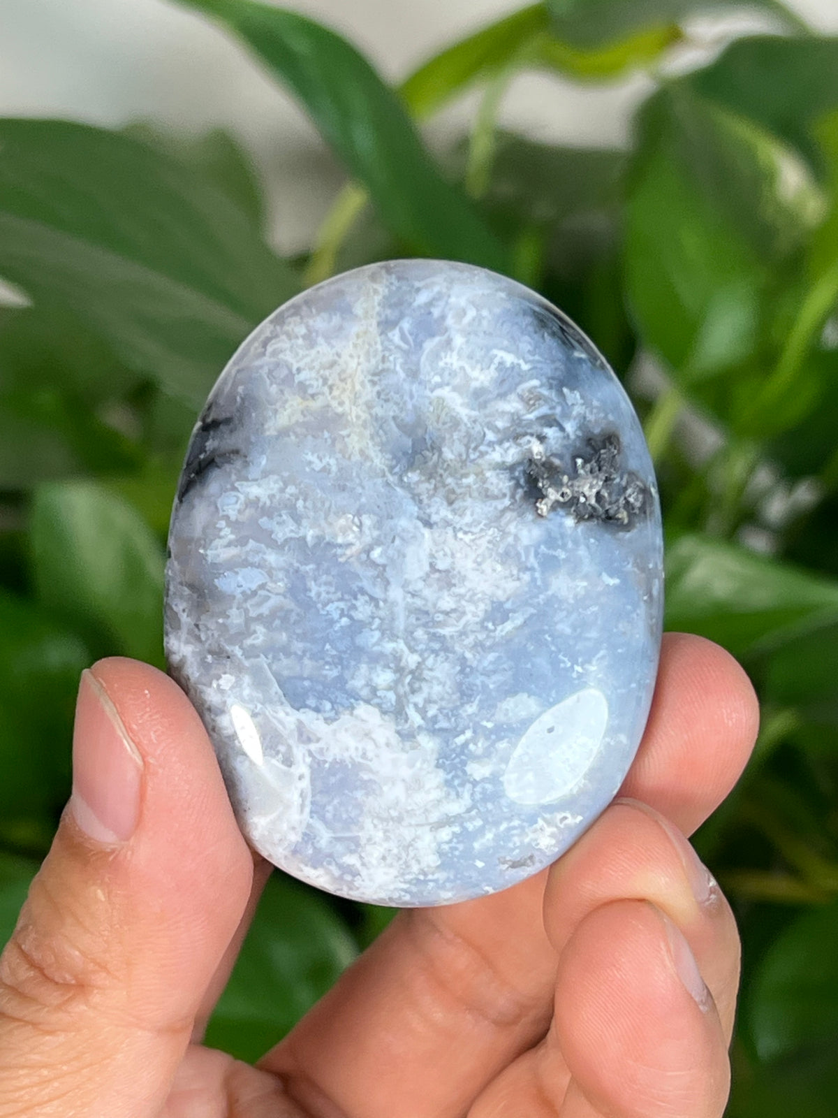 Blue Plume Agate Palmstones