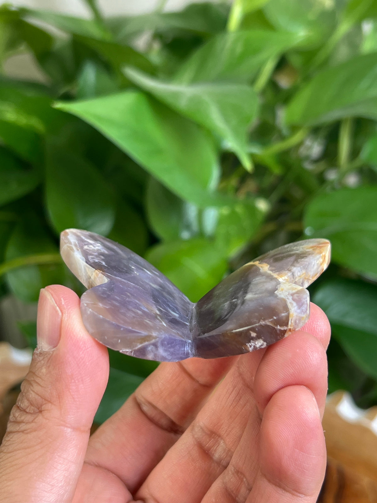 Purple Chalcedony 3D Butterfly: C