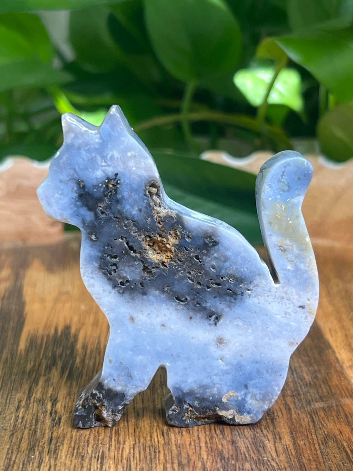 Blue Plume Agate Cat: AD