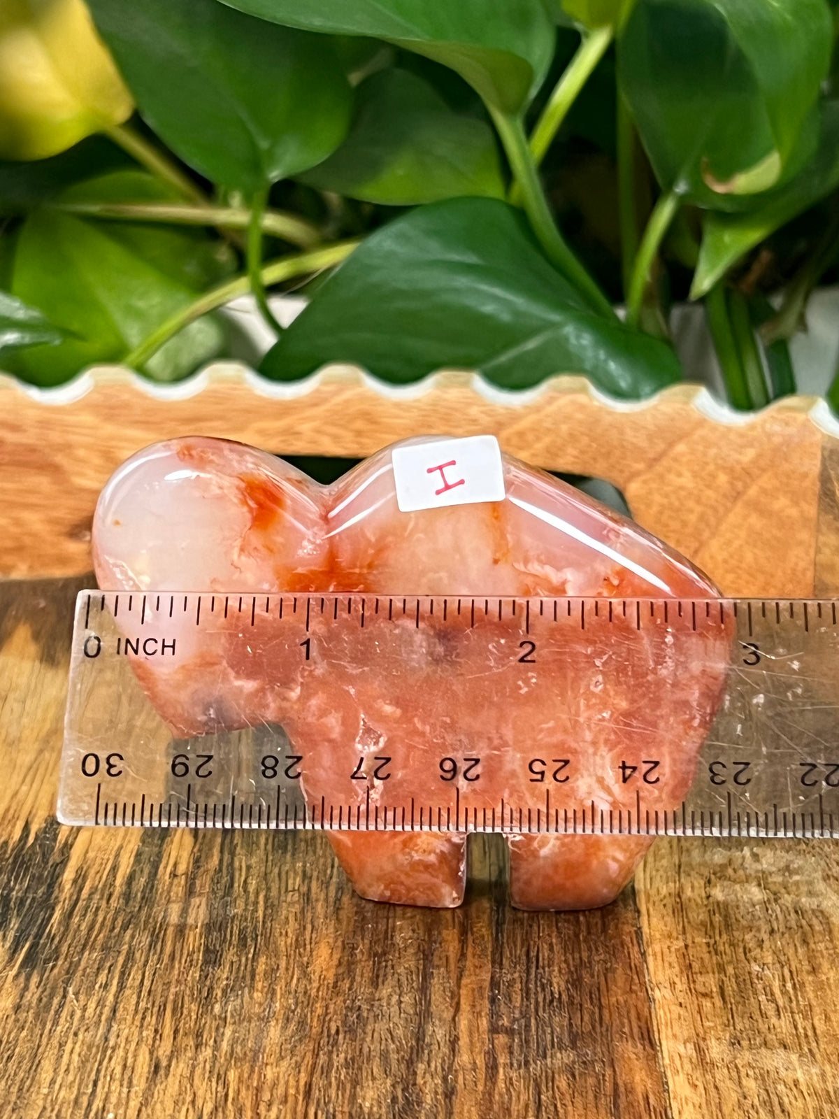 Red Carnelian Buffalos