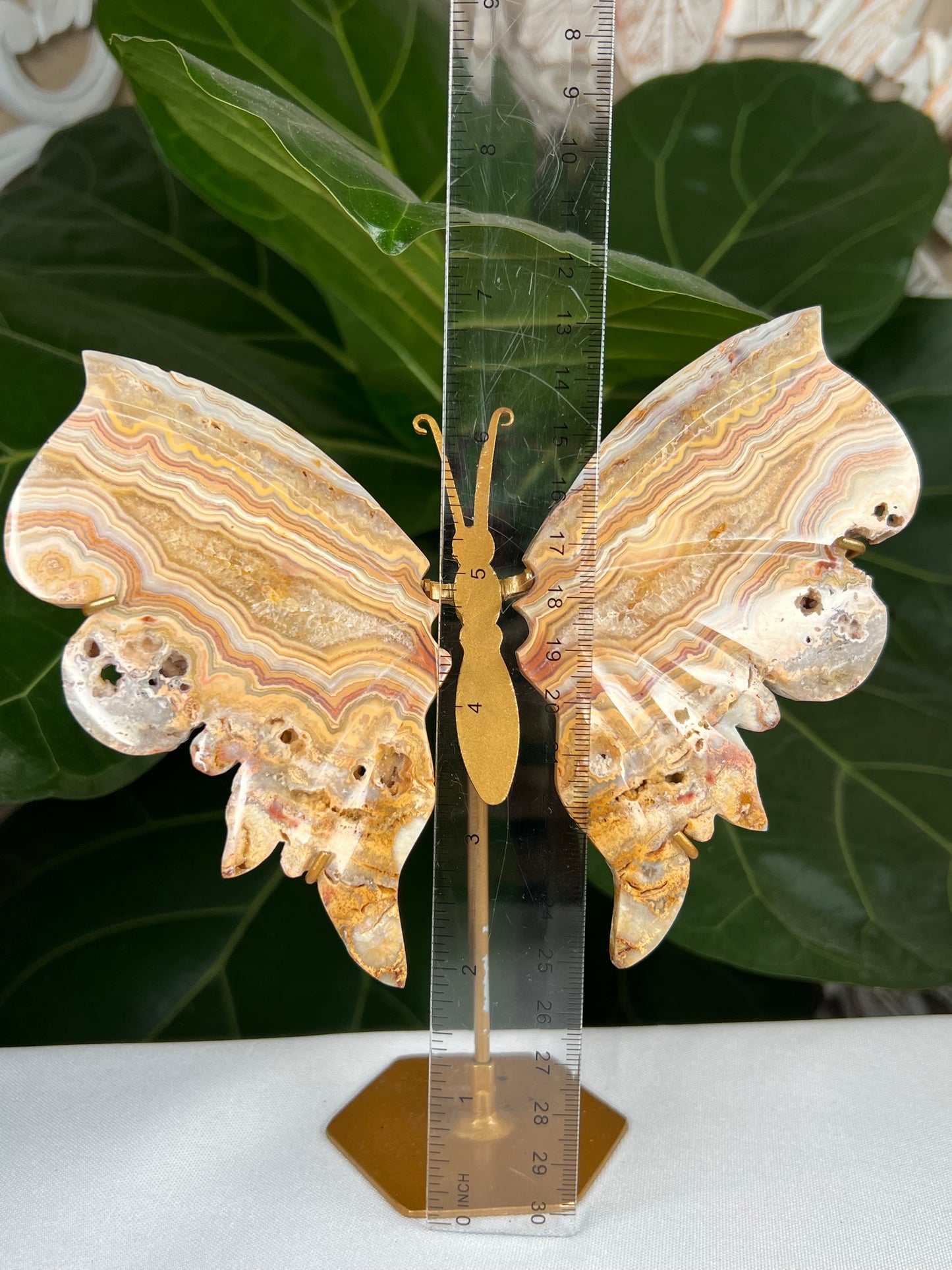 Crazy Lace Agate Wings