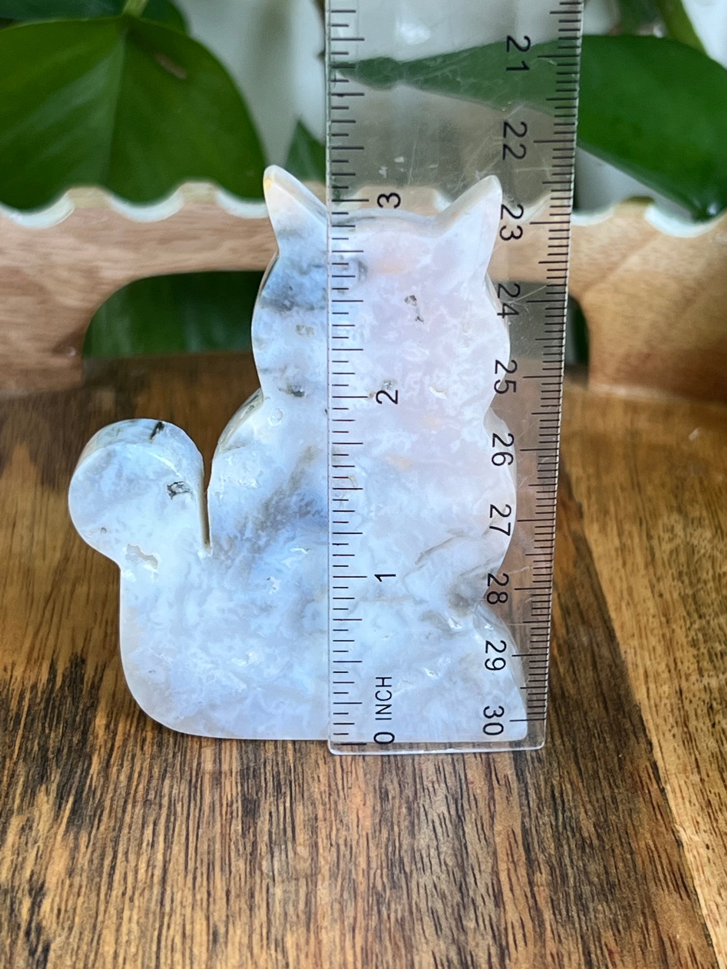 Rainbow Plume Agate Cat B